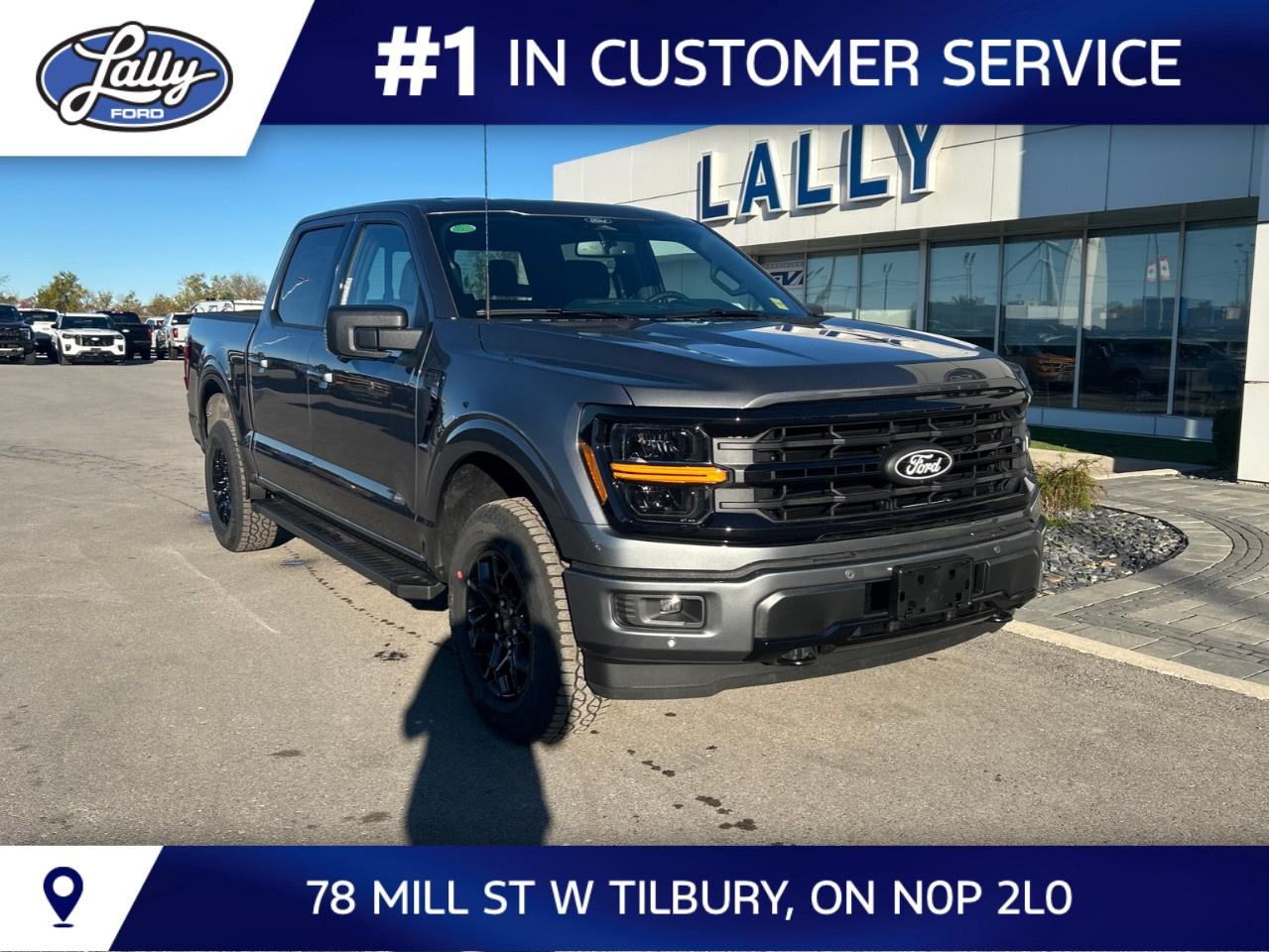 2026 Ford F-150 XLT 4WD SuperCrew 5.5' Box Photo