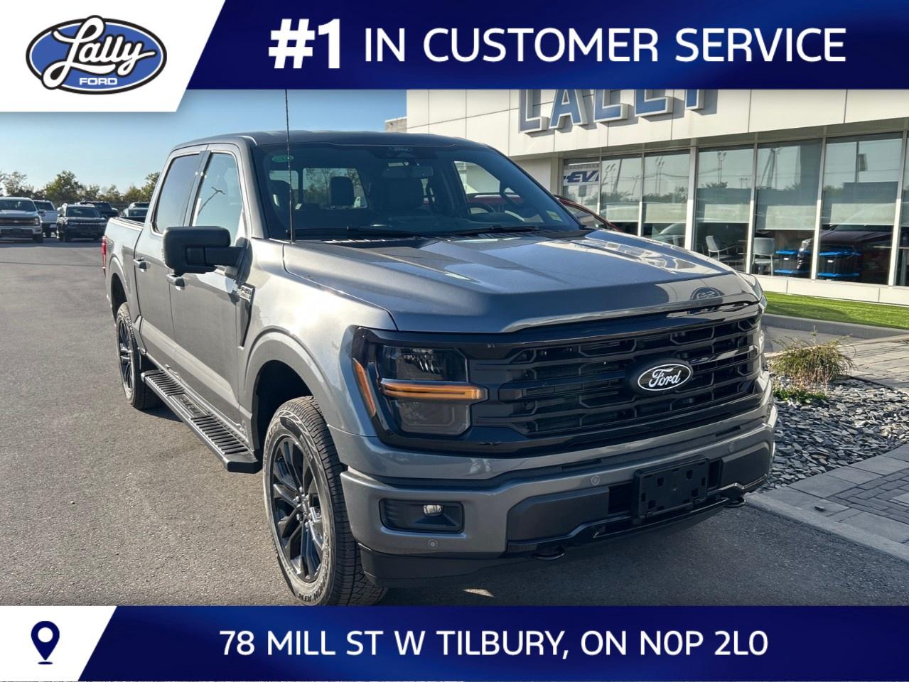 2026 Ford F-150 XLT 4WD SuperCrew 5.5' Box Photo0