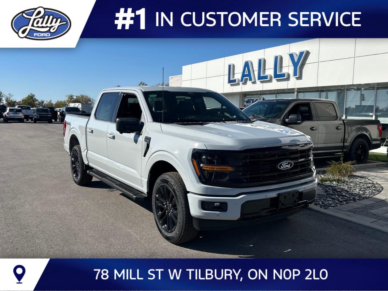 2026 Ford F-150 XLT 4WD SuperCrew 5.5' Box Photo0
