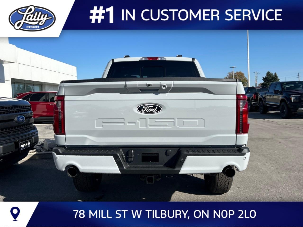 2026 Ford F-150 XLT 4WD SuperCrew 5.5' Box Photo3