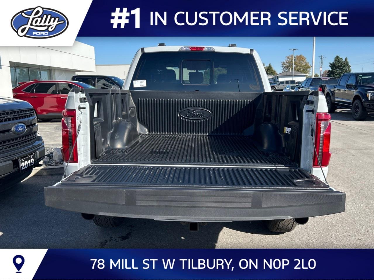 2026 Ford F-150 XLT 4WD SuperCrew 5.5' Box Photo