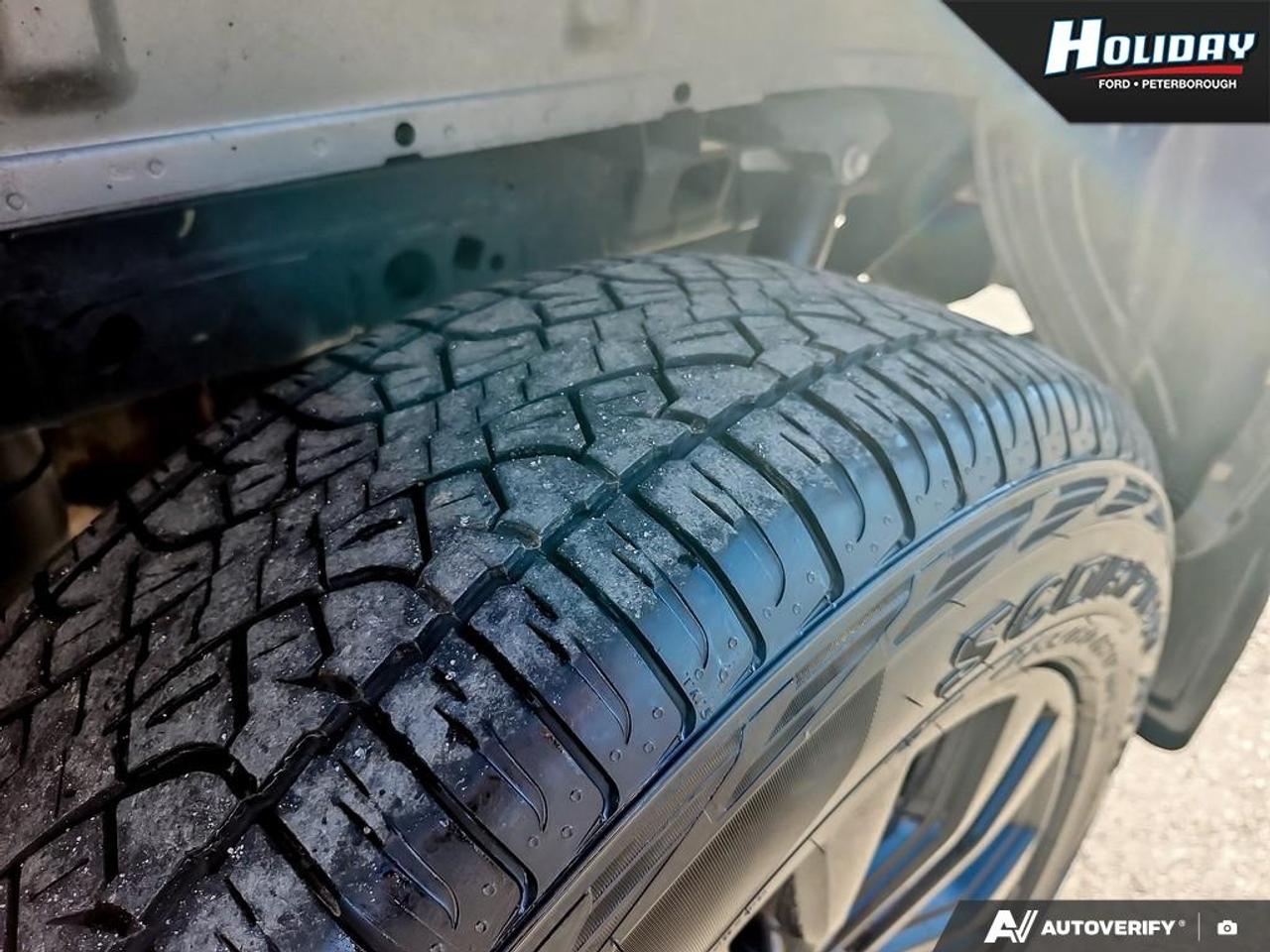2025 Ford F-150 XLT Photo