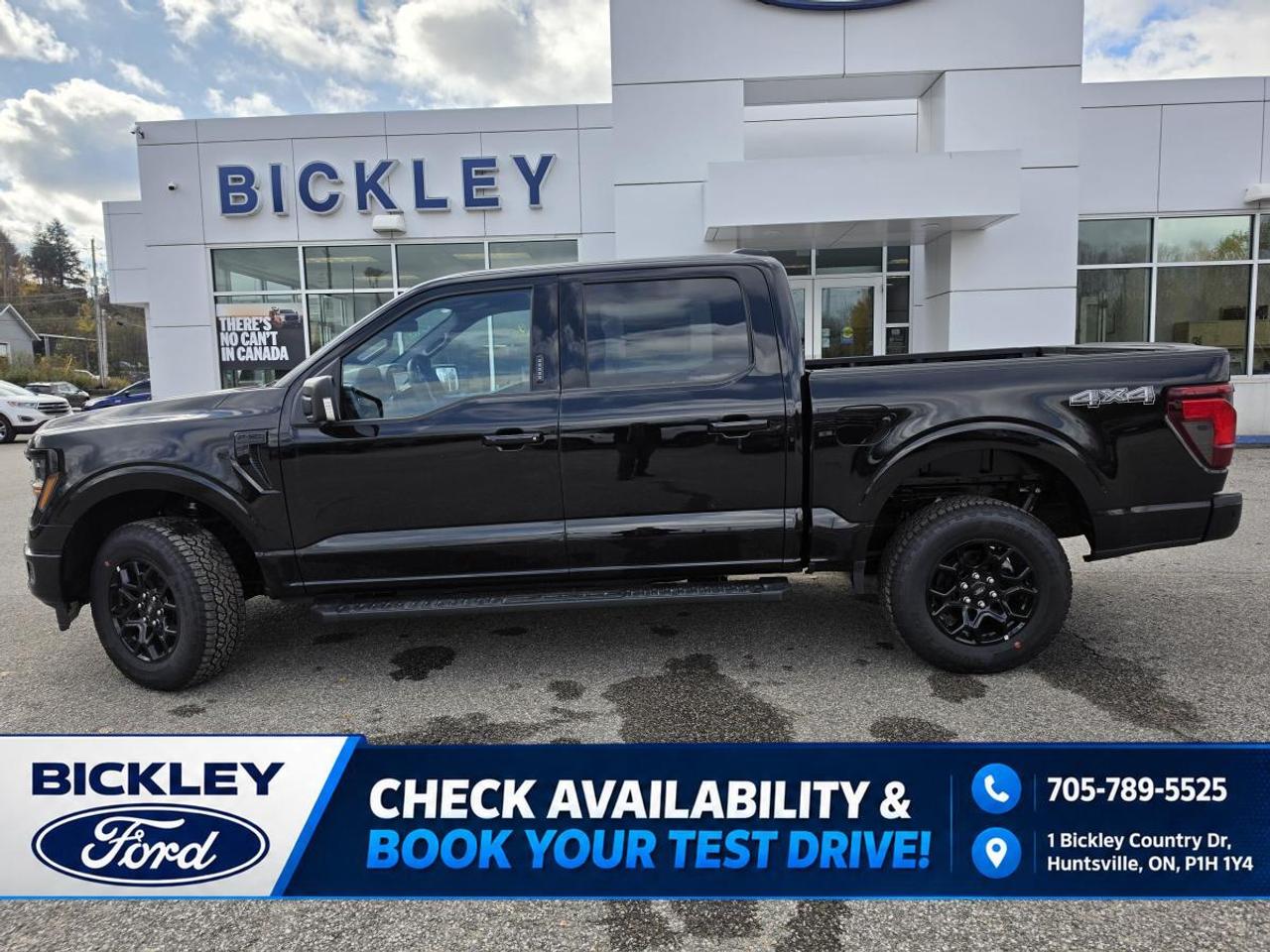2026 Ford F-150 XLT 4WD SuperCrew 5.5' Box Photo