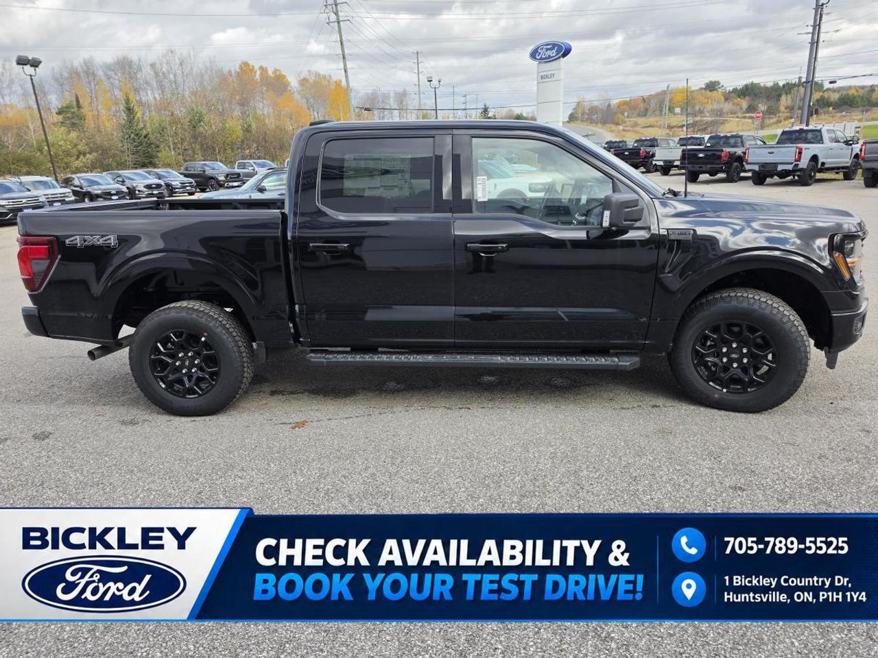 2026 Ford F-150 XLT 4WD SuperCrew 5.5' Box Photo