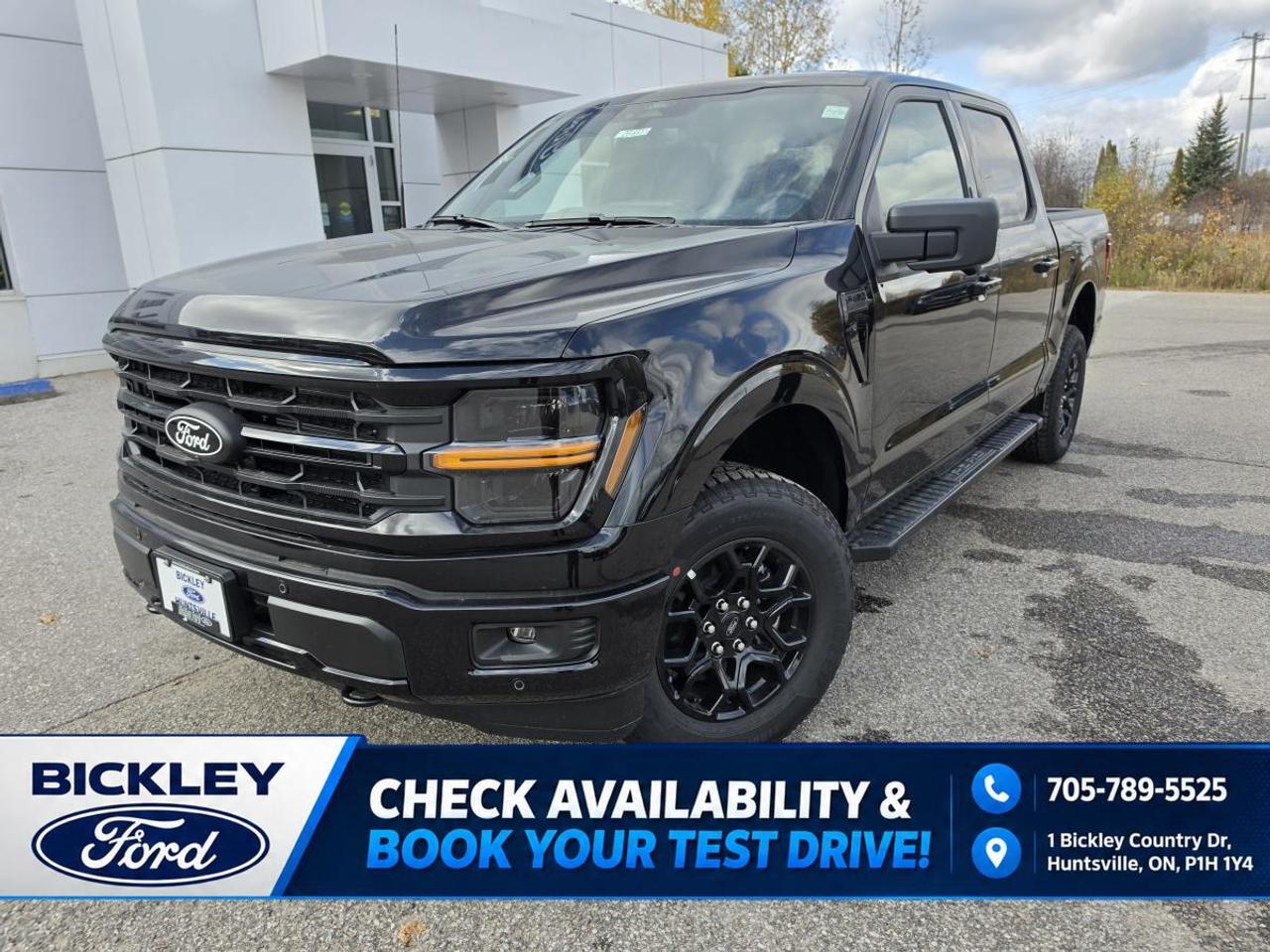 2026 Ford F-150 XLT 4WD SuperCrew 5.5' Box Photo