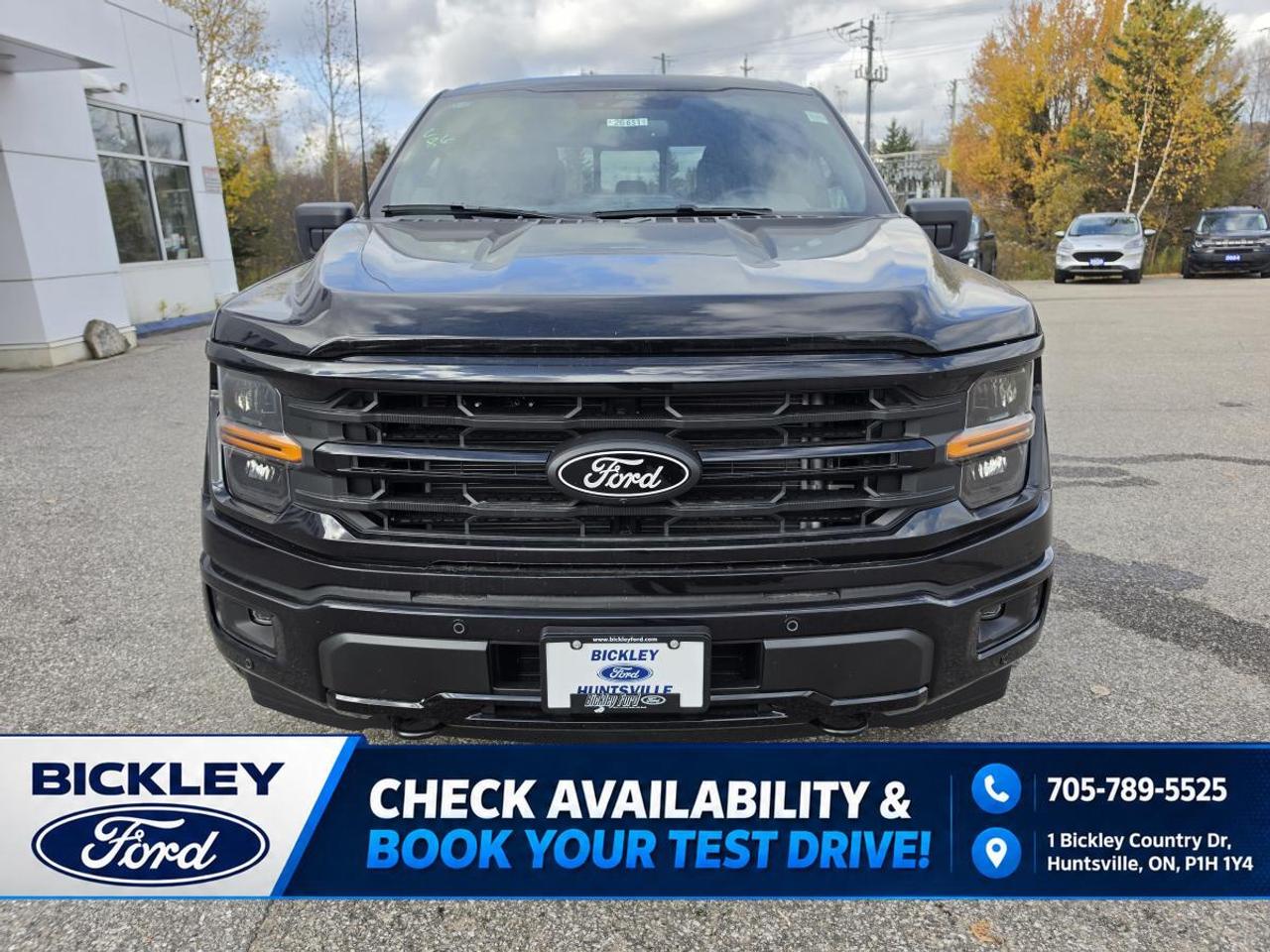 2026 Ford F-150 XLT 4WD SuperCrew 5.5' Box Photo1