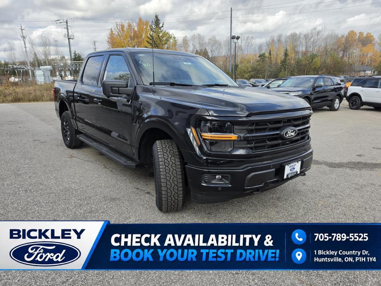 2026 Ford F-150 XLT 4WD SuperCrew 5.5' Box Photo