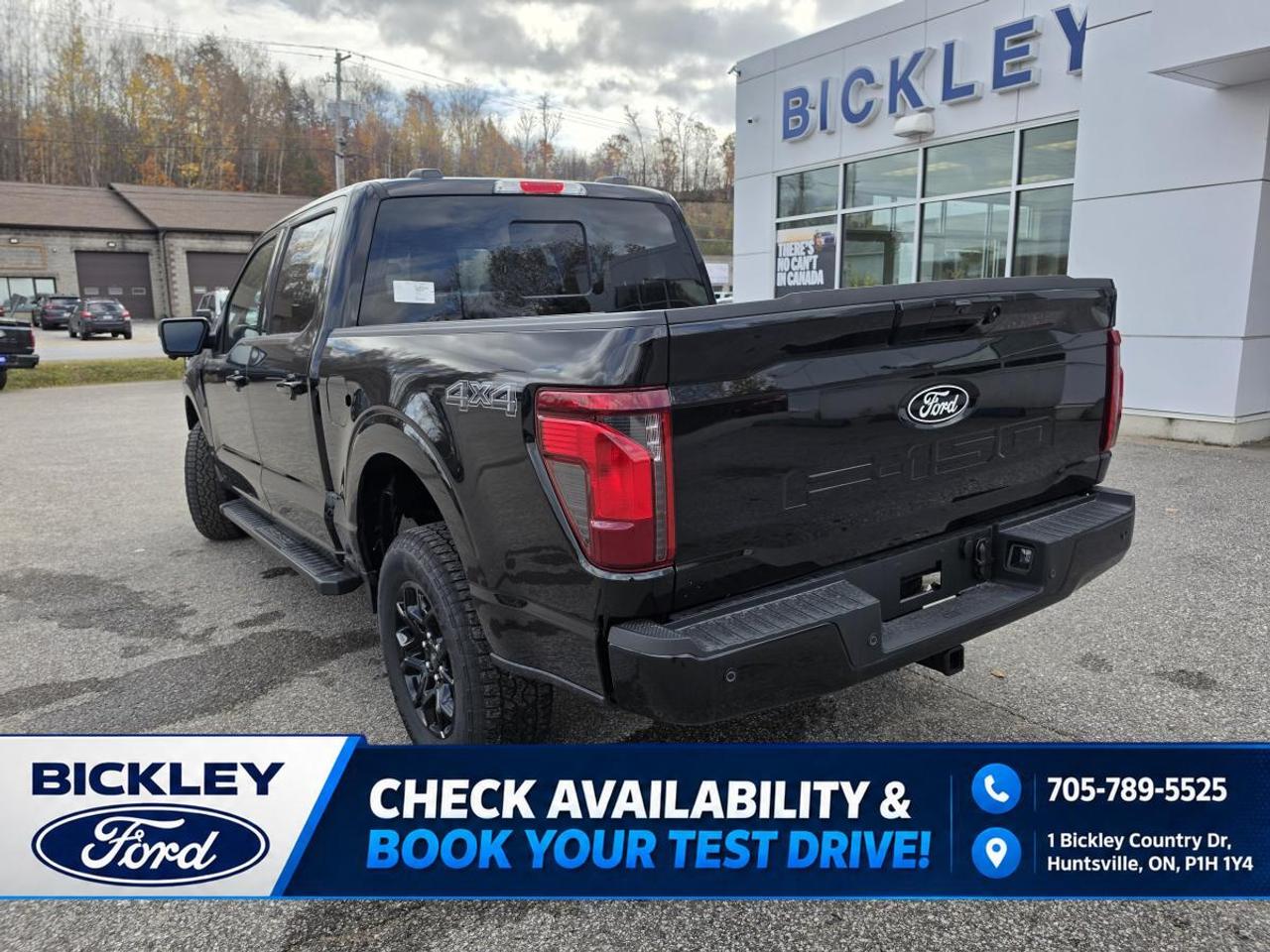 2026 Ford F-150 XLT 4WD SuperCrew 5.5' Box Photo