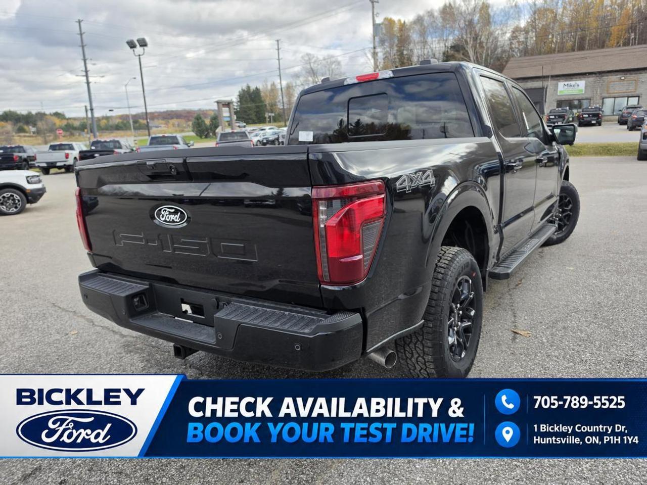 2026 Ford F-150 XLT 4WD SuperCrew 5.5' Box Photo