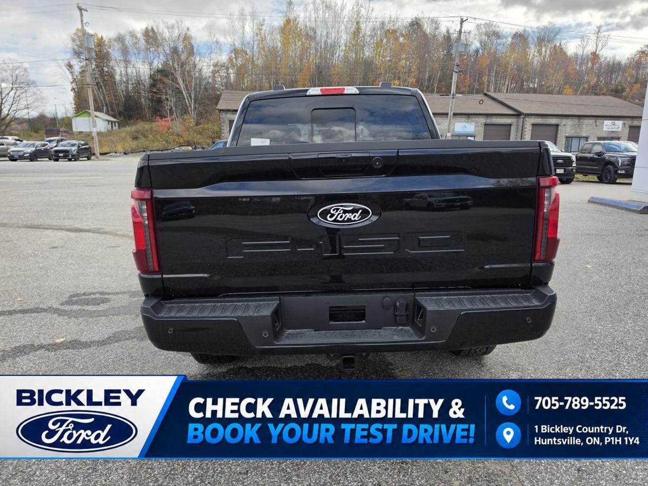 2026 Ford F-150 XLT 4WD SuperCrew 5.5' Box Photo