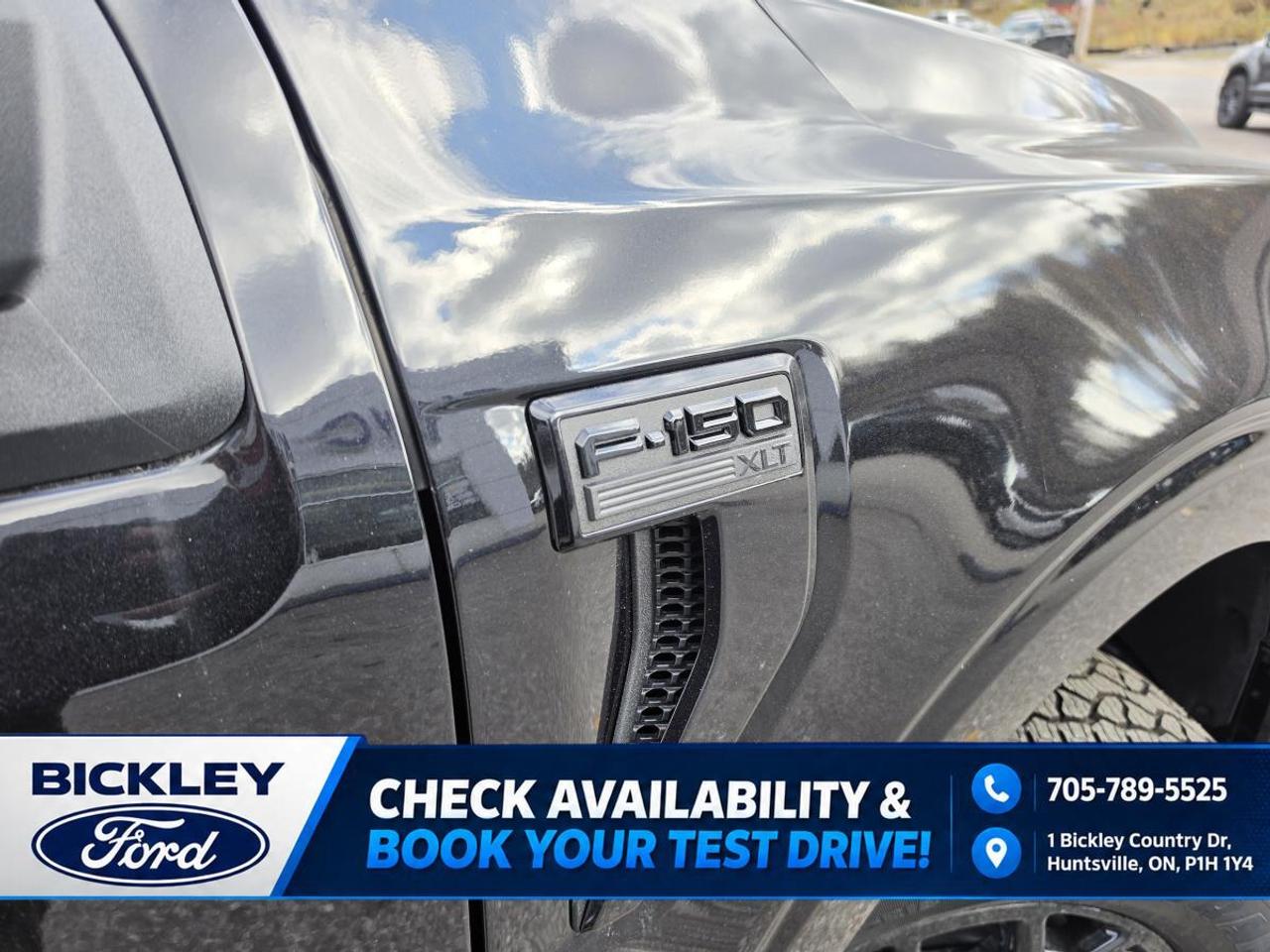 2026 Ford F-150 XLT 4WD SuperCrew 5.5' Box Photo