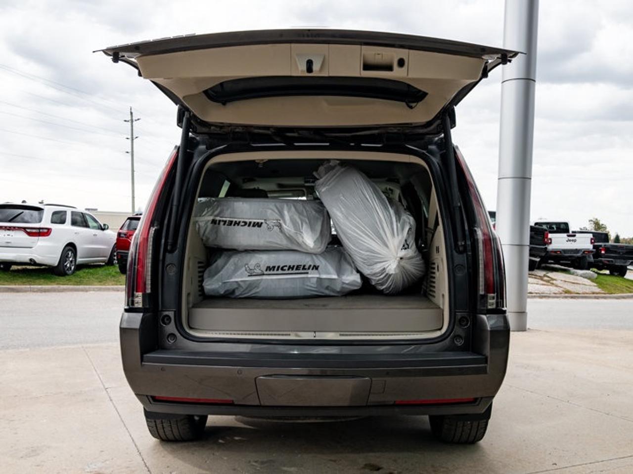 2020 Cadillac Escalade LUXURY Photo