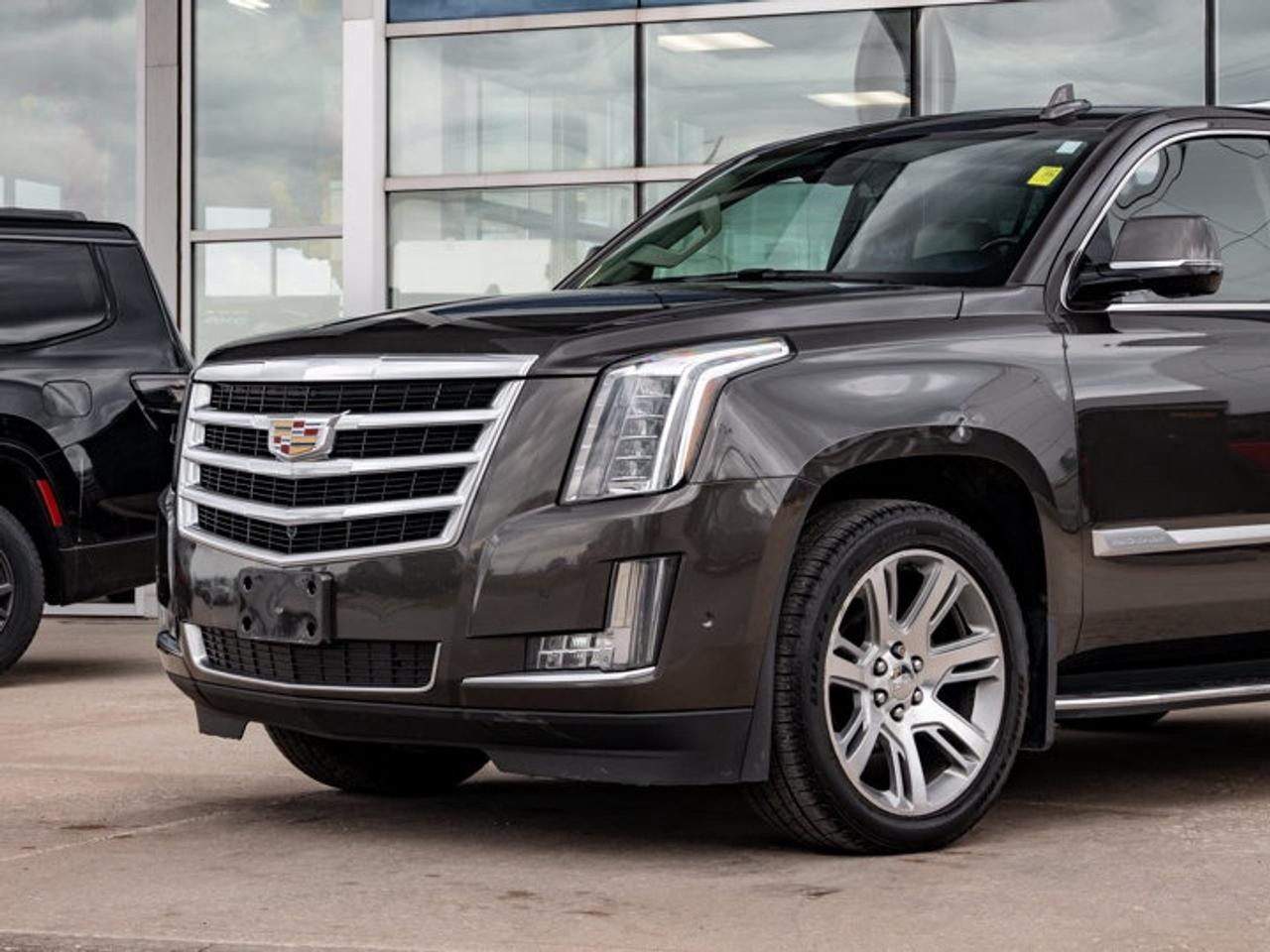 2020 Cadillac Escalade LUXURY Photo