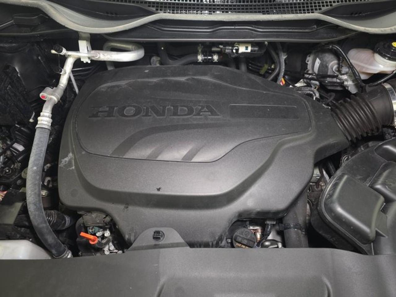 2024 Honda Odyssey  Photo