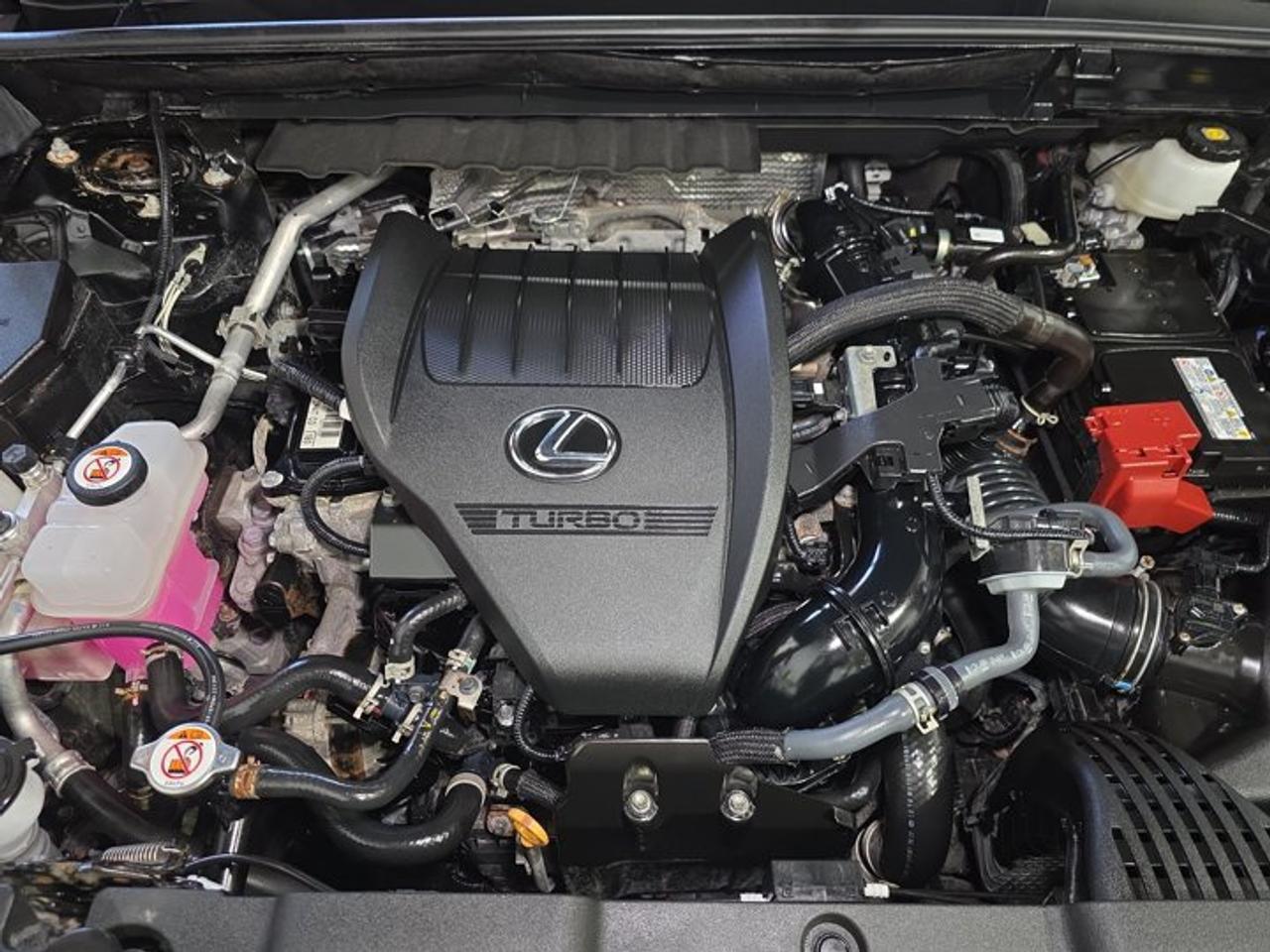 2025 Lexus NX 350 Premium Photo