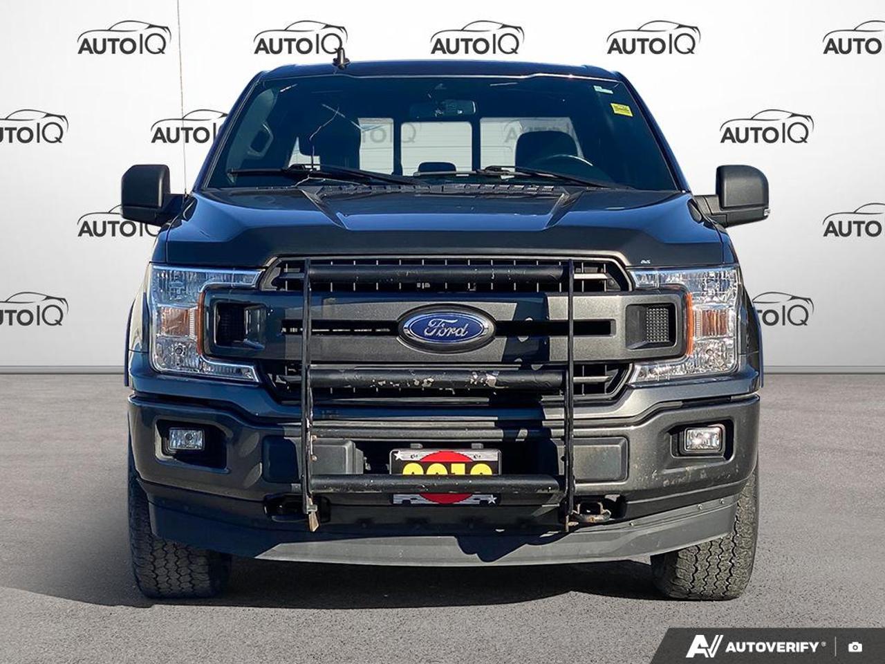 2019 Ford F-150 XLT 3.5L | MOONROOF | FX4 | SPORT Photo