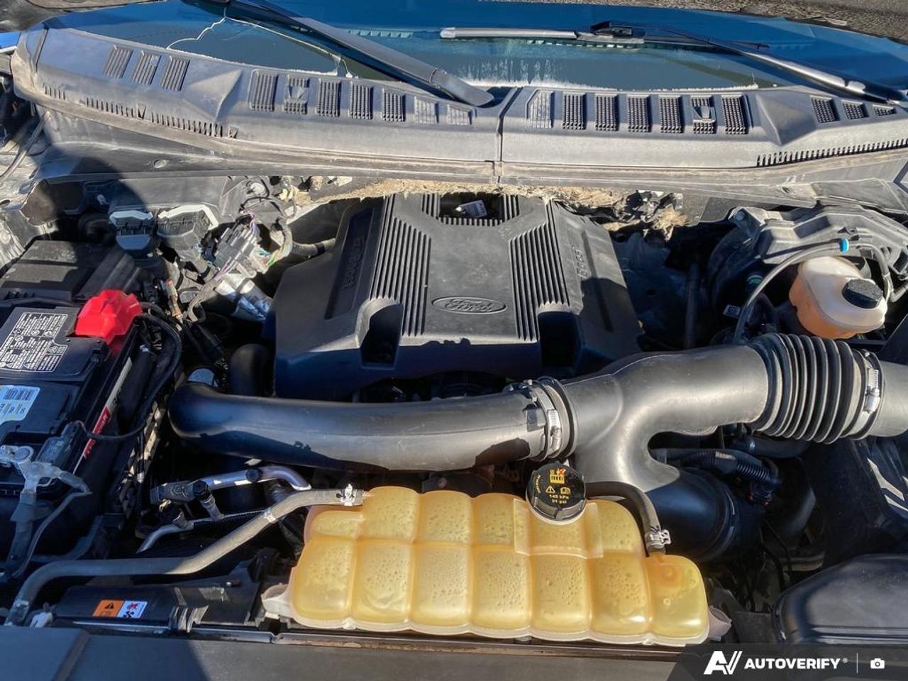 2019 Ford F-150 XLT 3.5L | MOONROOF | FX4 | SPORT Photo