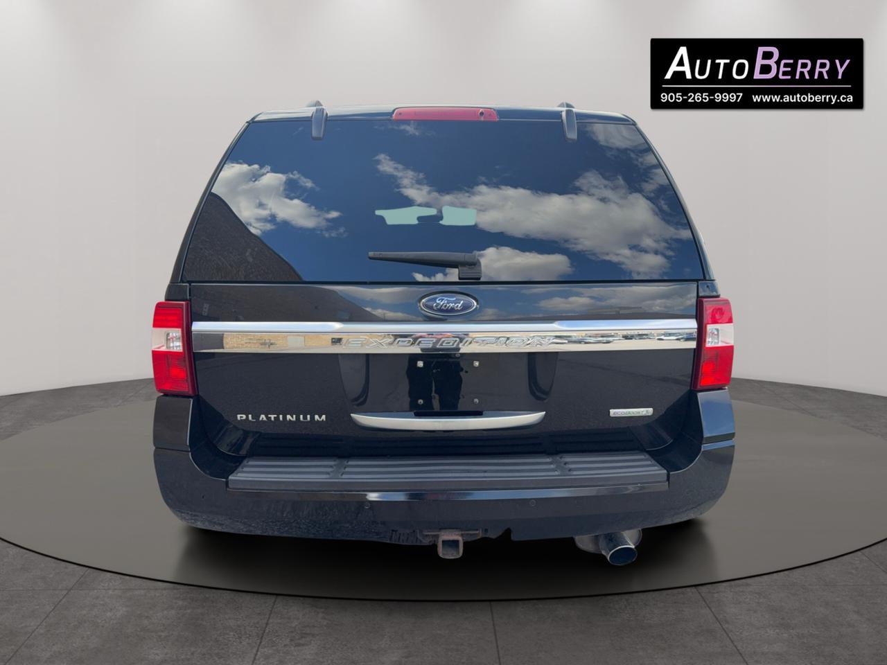 2017 Ford Expedition Platinum Photo