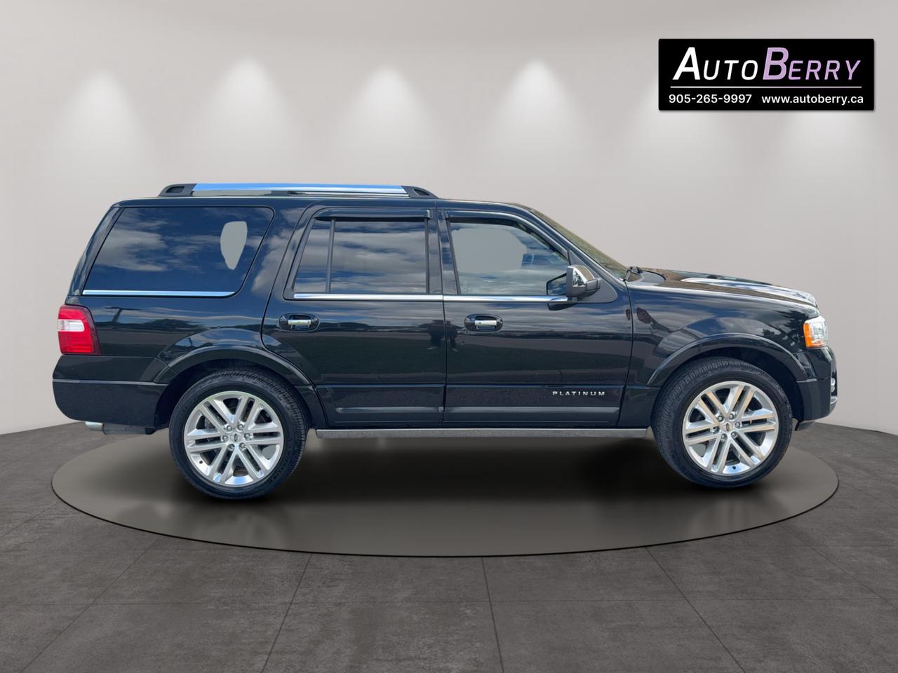 2017 Ford Expedition Platinum Photo