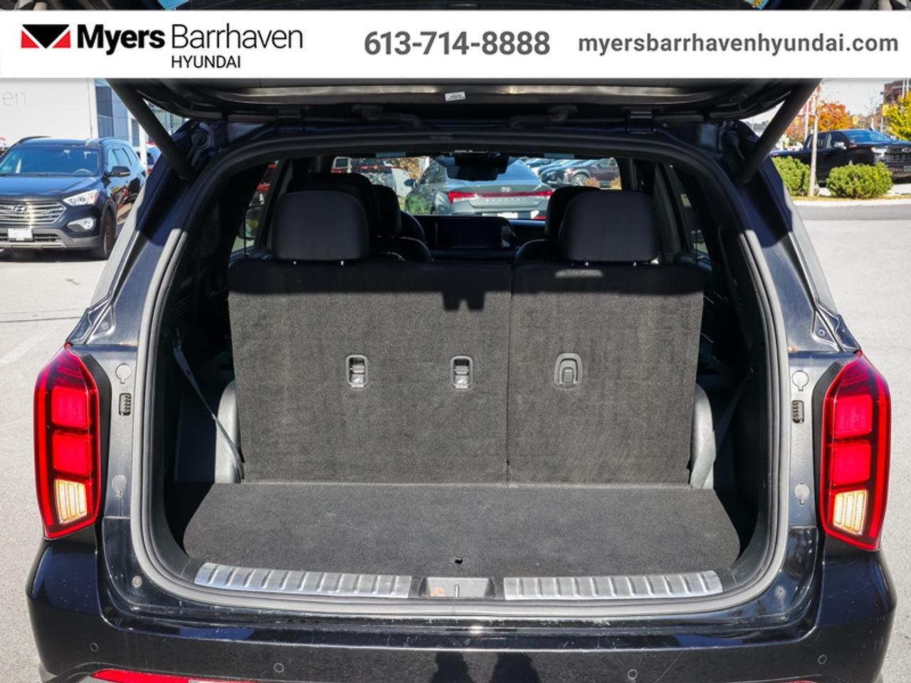 2024 Hyundai PALISADE Ultimate Calligraphy  -  Cooled Seats - $268 B/W Photo