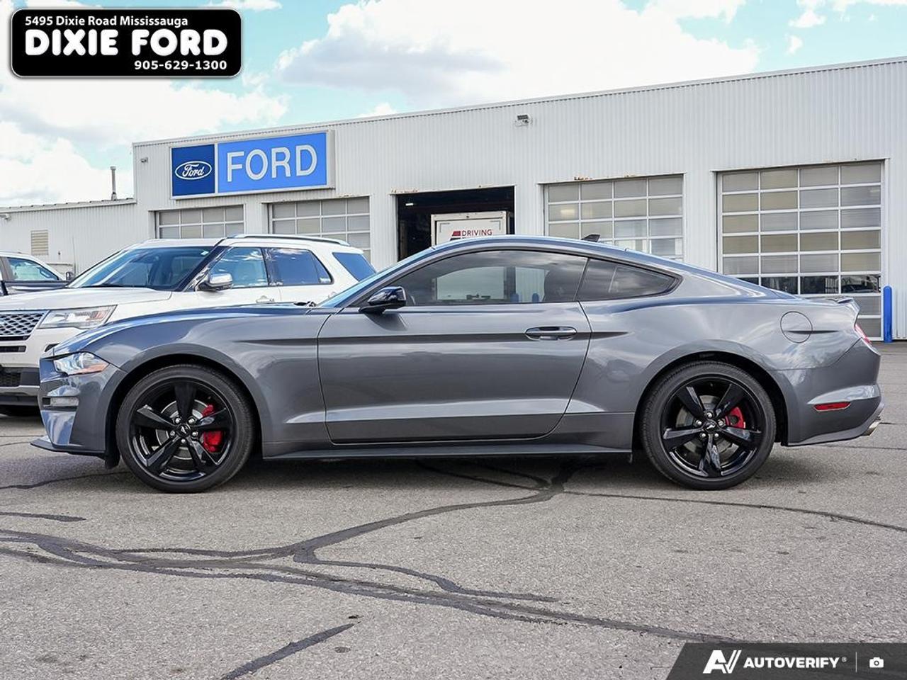 2021 Ford Mustang EcoBoost Photo