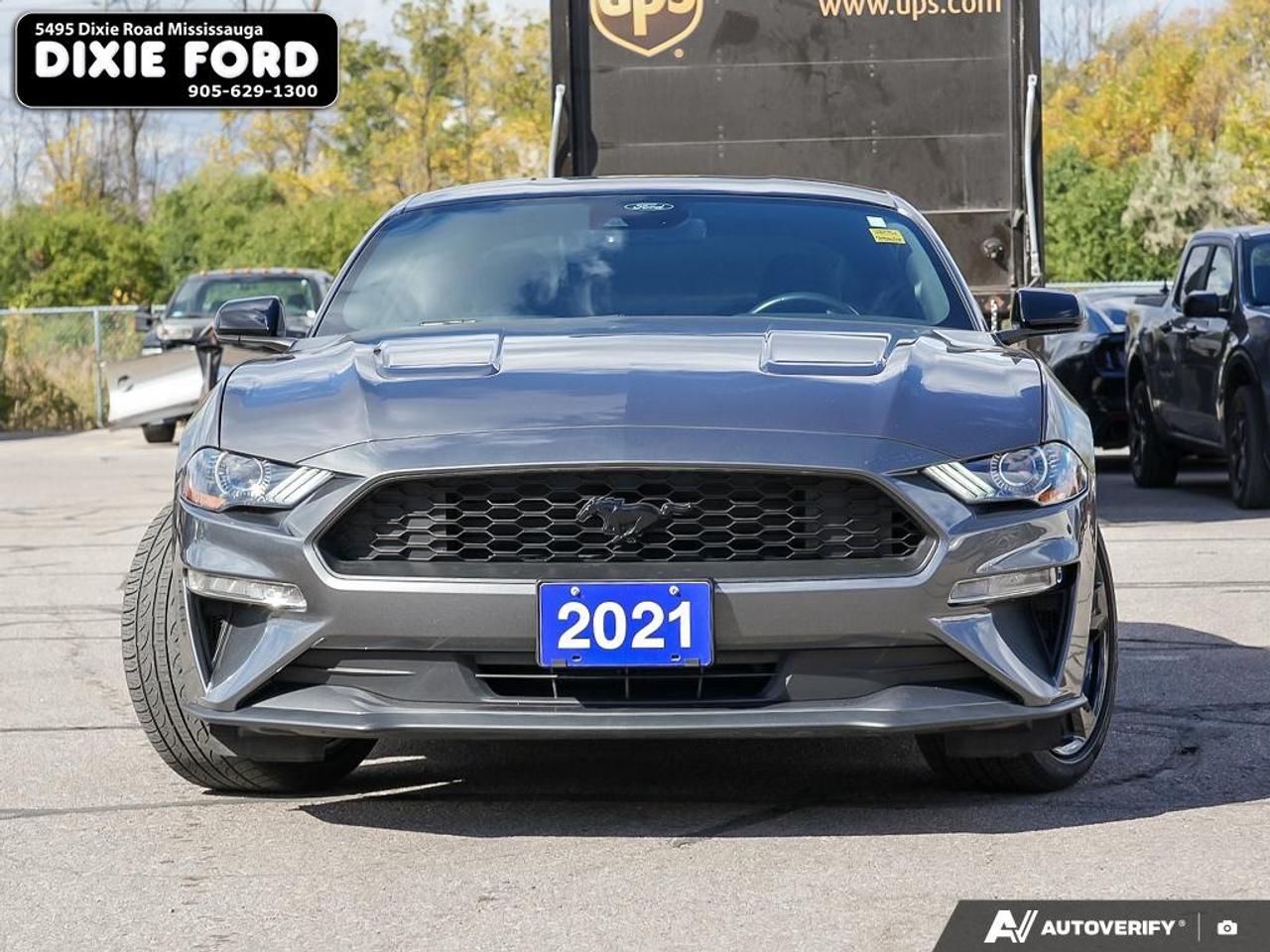 2021 Ford Mustang EcoBoost Photo5