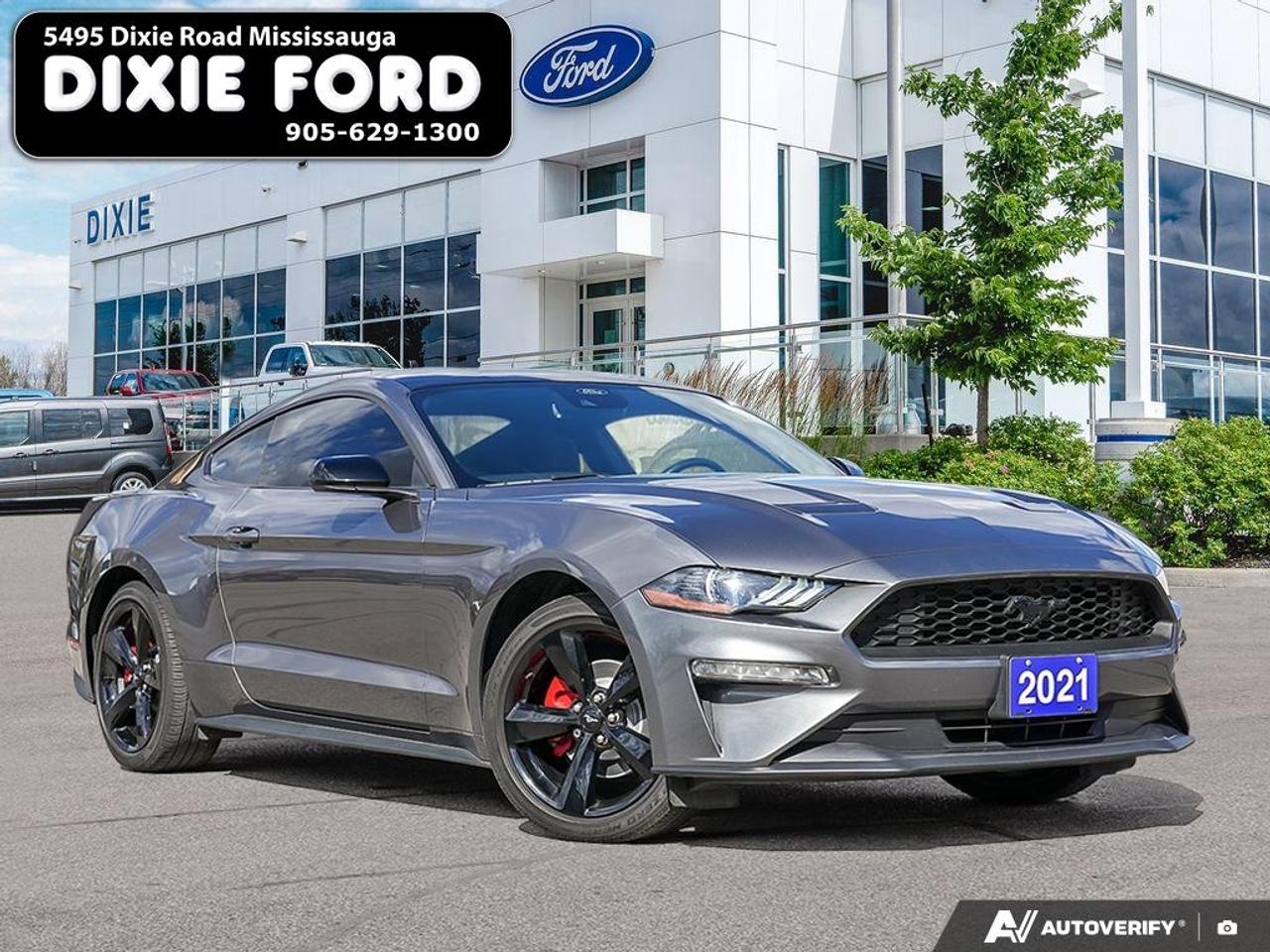 2021 Ford Mustang EcoBoost Photo