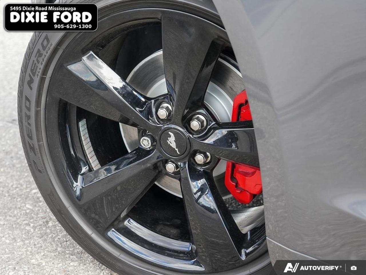 2021 Ford Mustang EcoBoost Photo