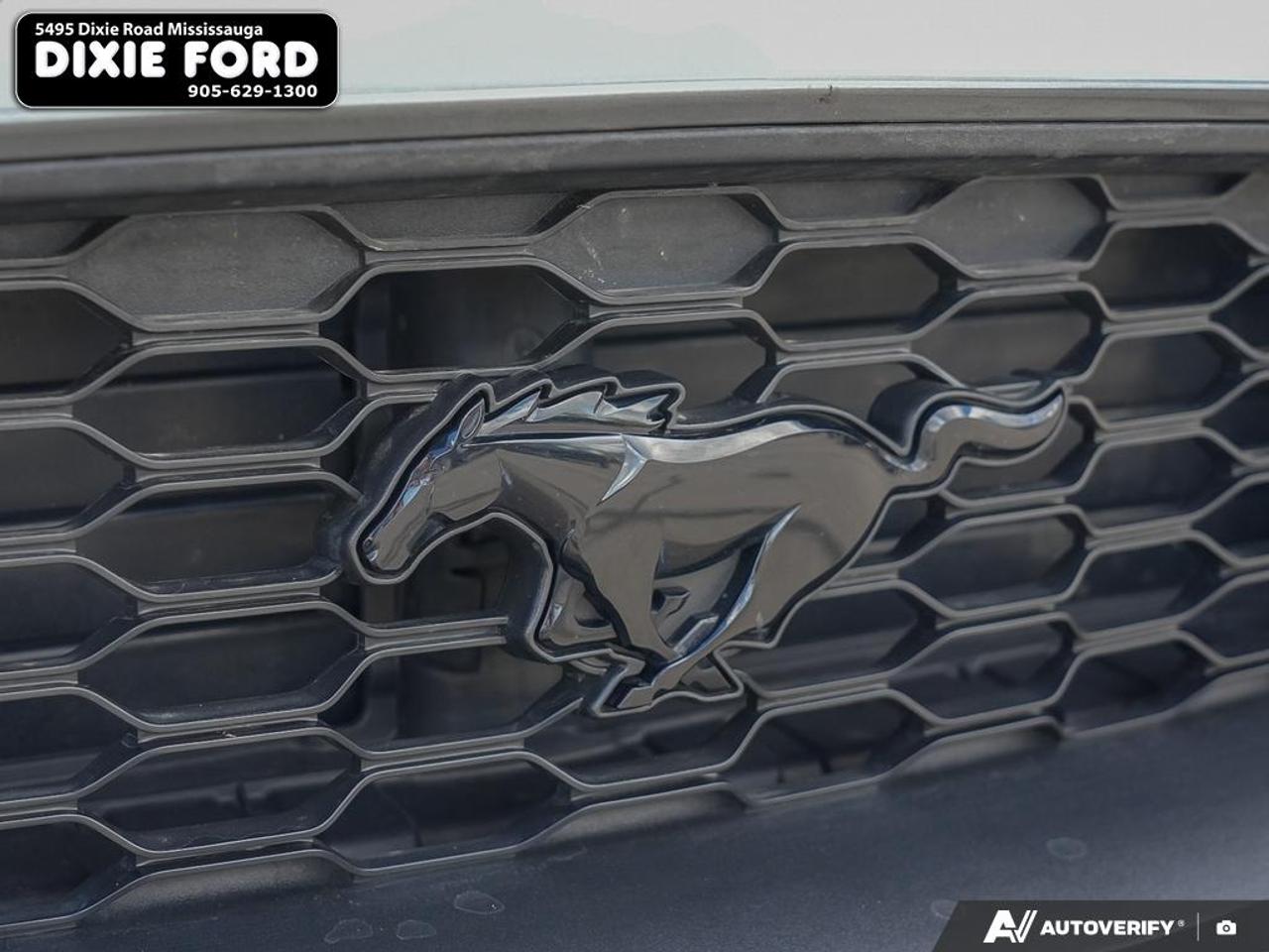 2021 Ford Mustang EcoBoost Photo
