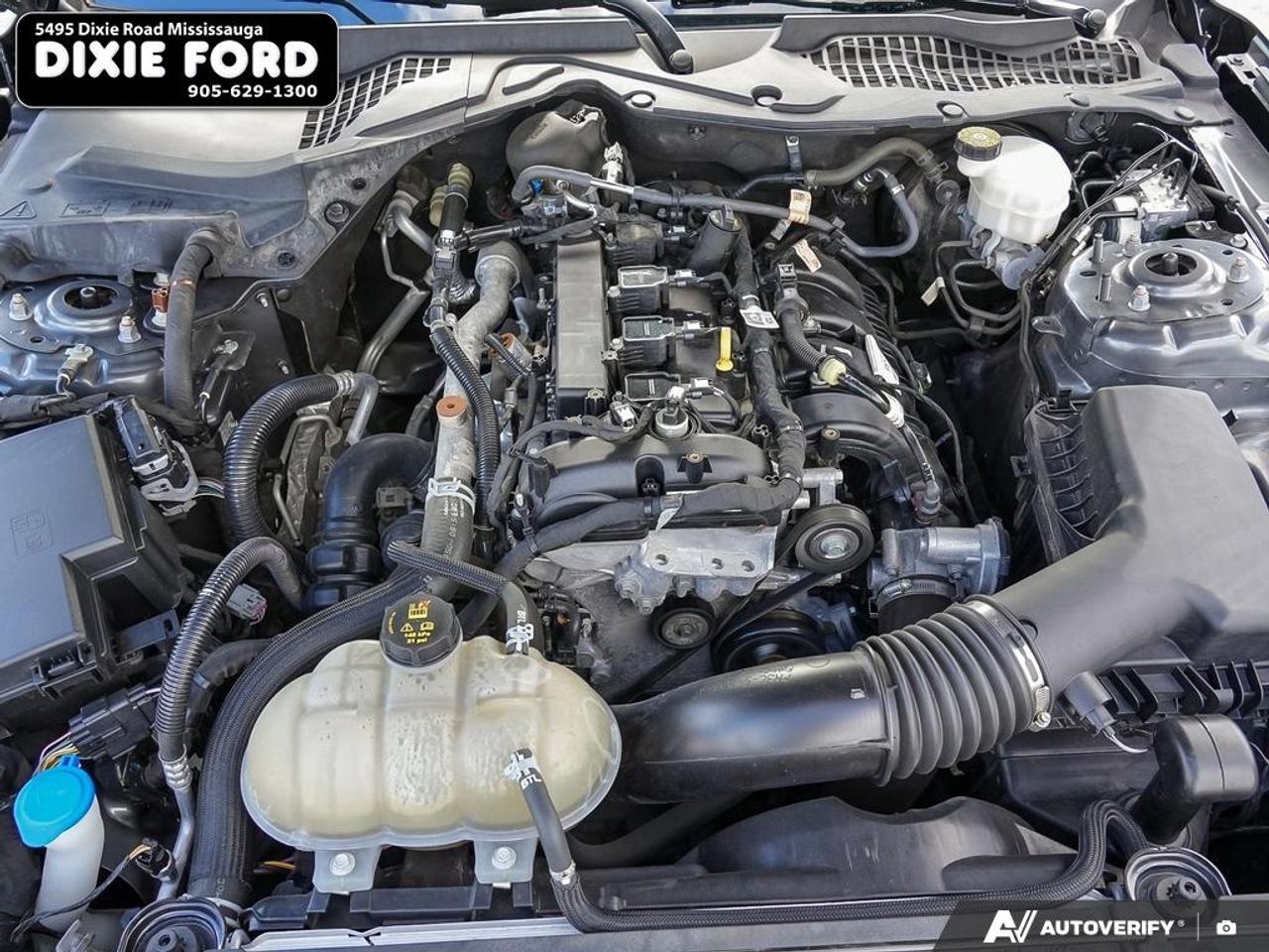 2021 Ford Mustang EcoBoost Photo