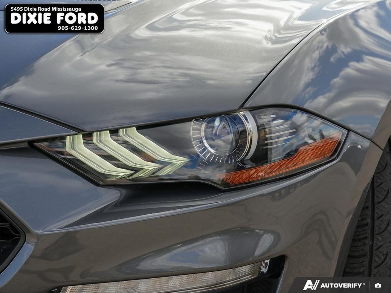 2021 Ford Mustang EcoBoost Photo