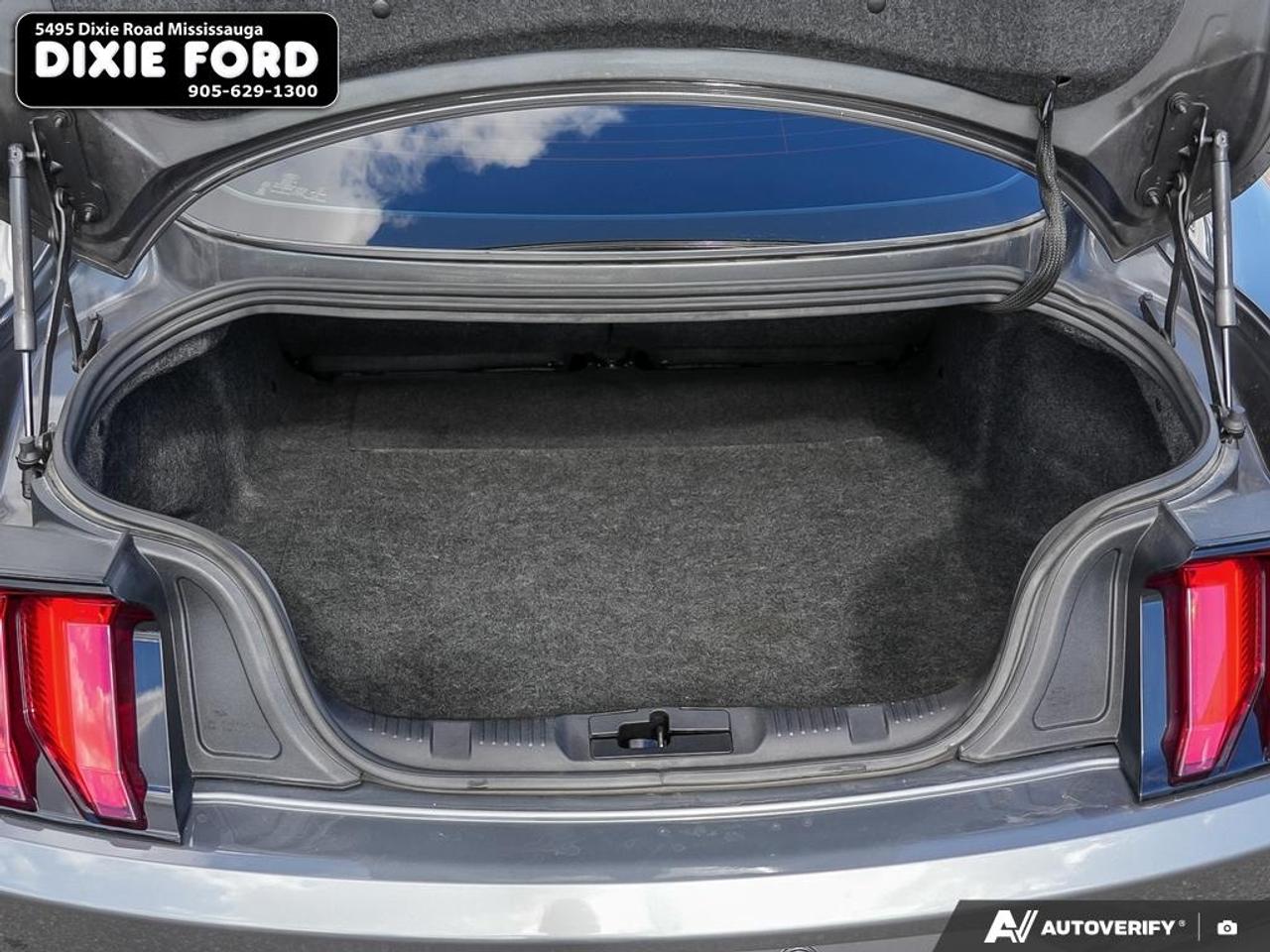 2021 Ford Mustang EcoBoost Photo
