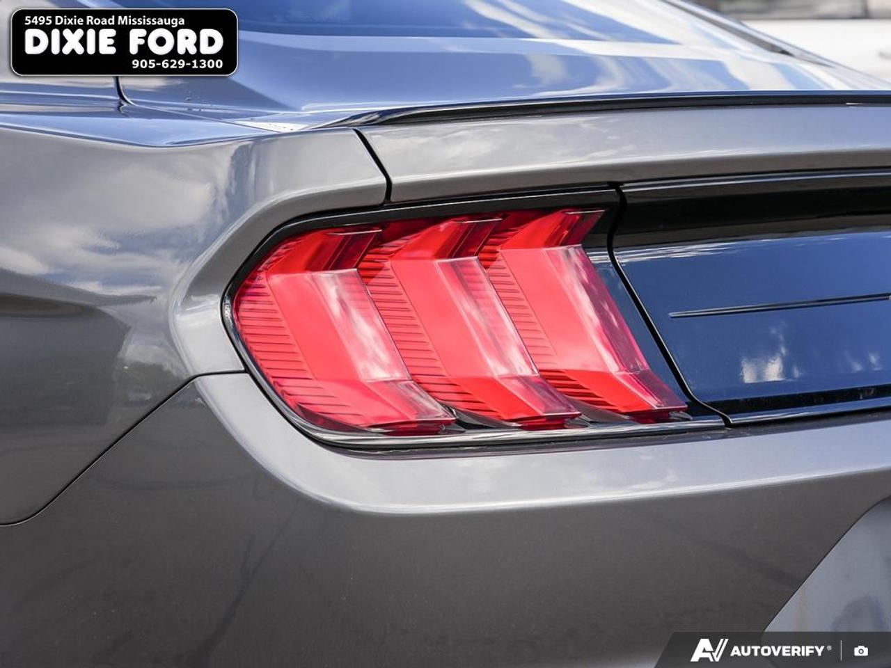 2021 Ford Mustang EcoBoost Photo