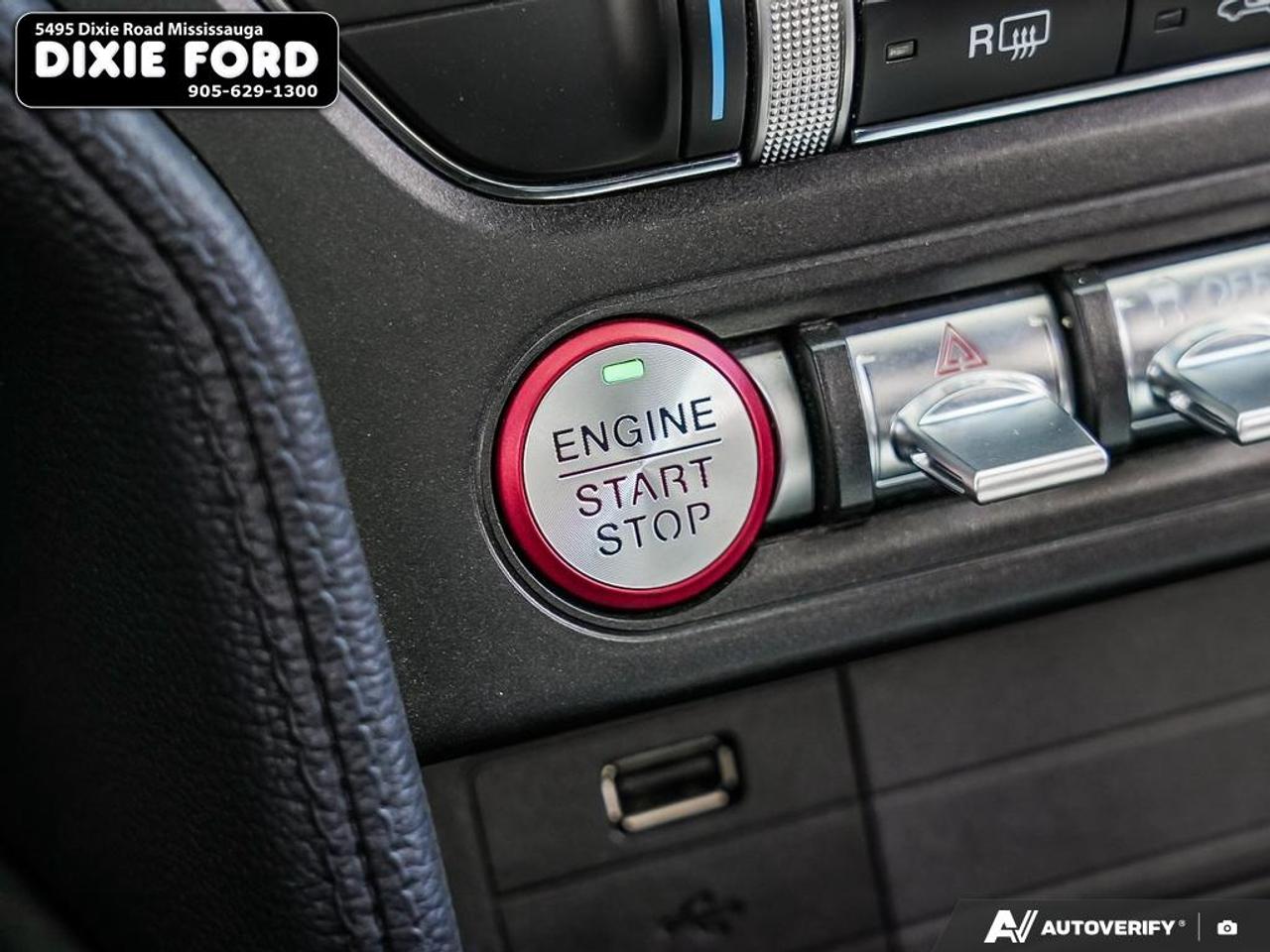 2021 Ford Mustang EcoBoost Photo