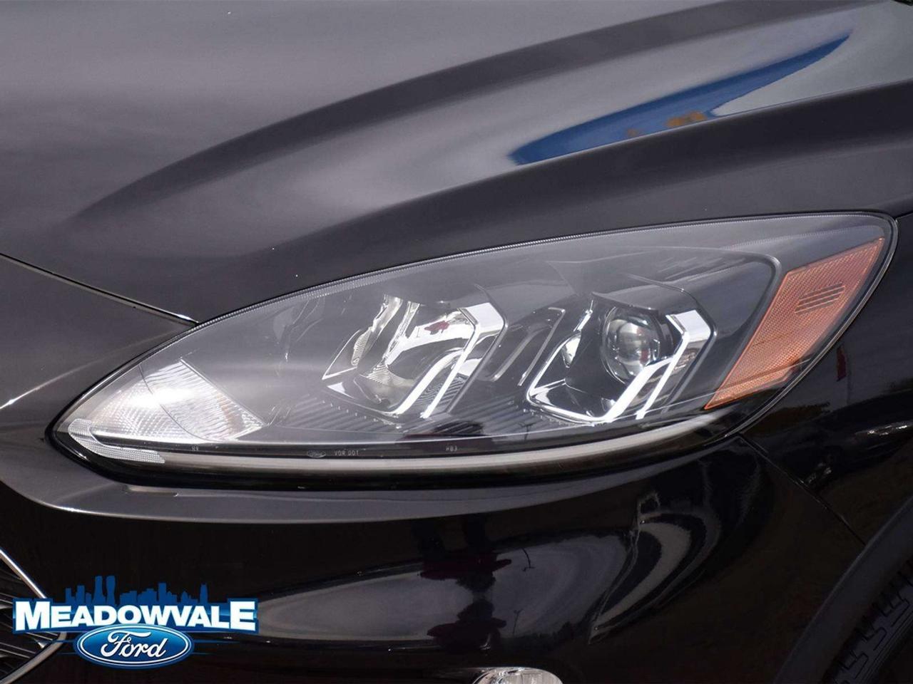 2022 Ford Escape SEL Photo