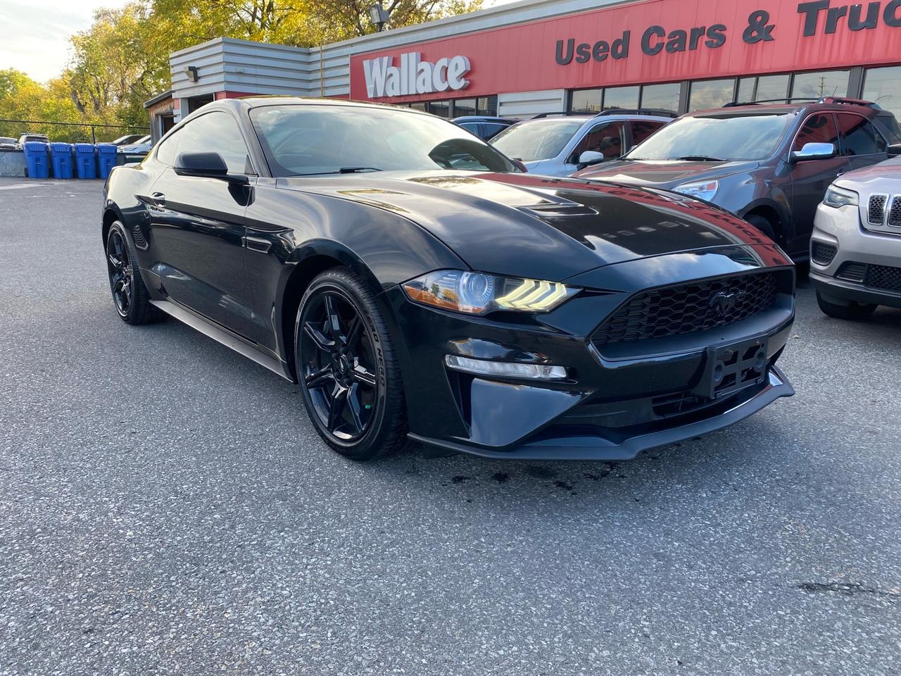 2018 Ford Mustang EcoBoost Coupe | Leather Photo0