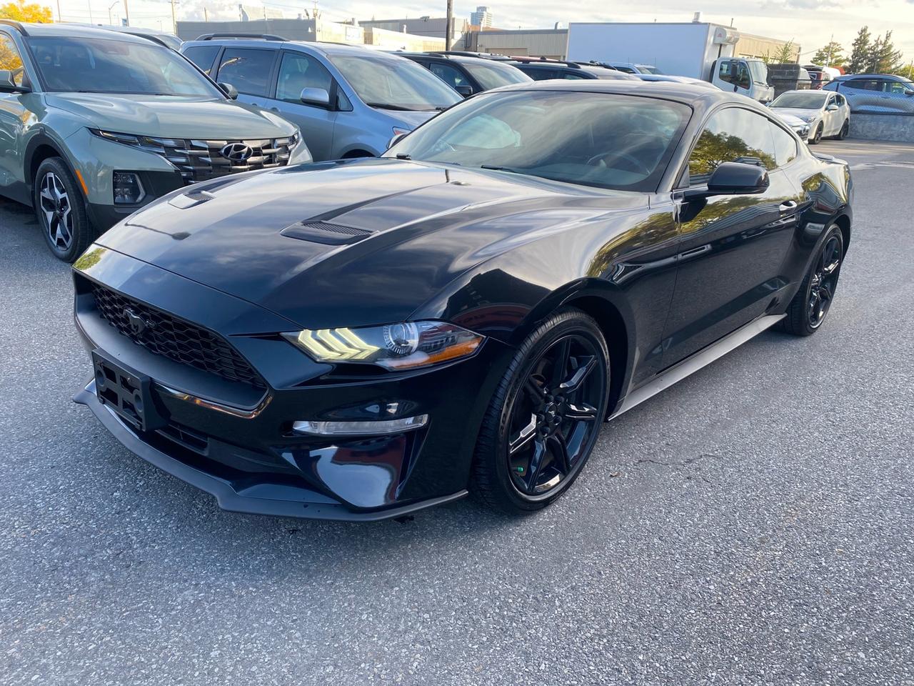 2018 Ford Mustang EcoBoost Coupe | Leather Photo2