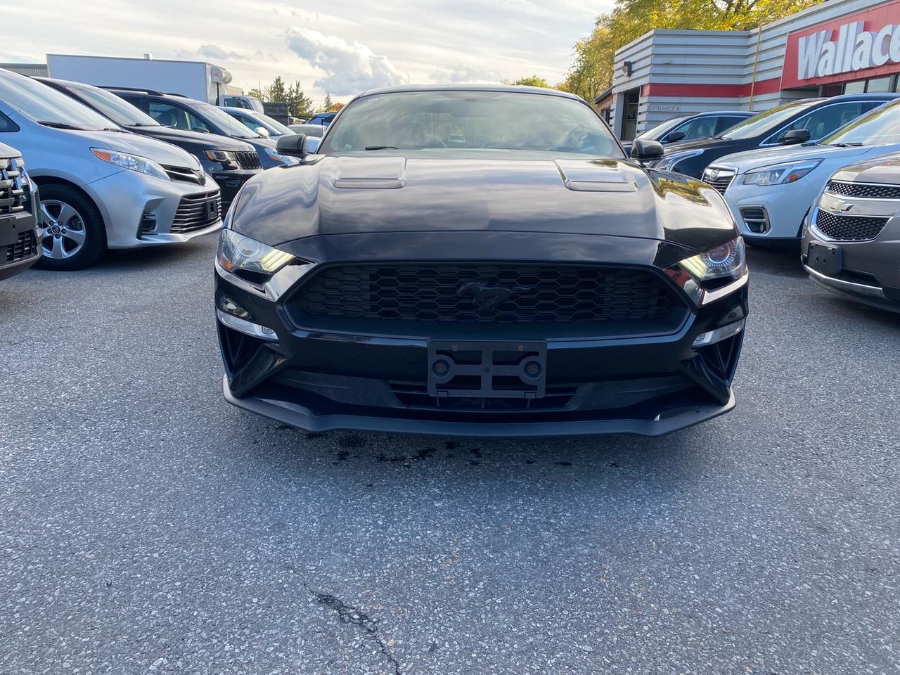 2018 Ford Mustang EcoBoost Coupe | Leather Photo