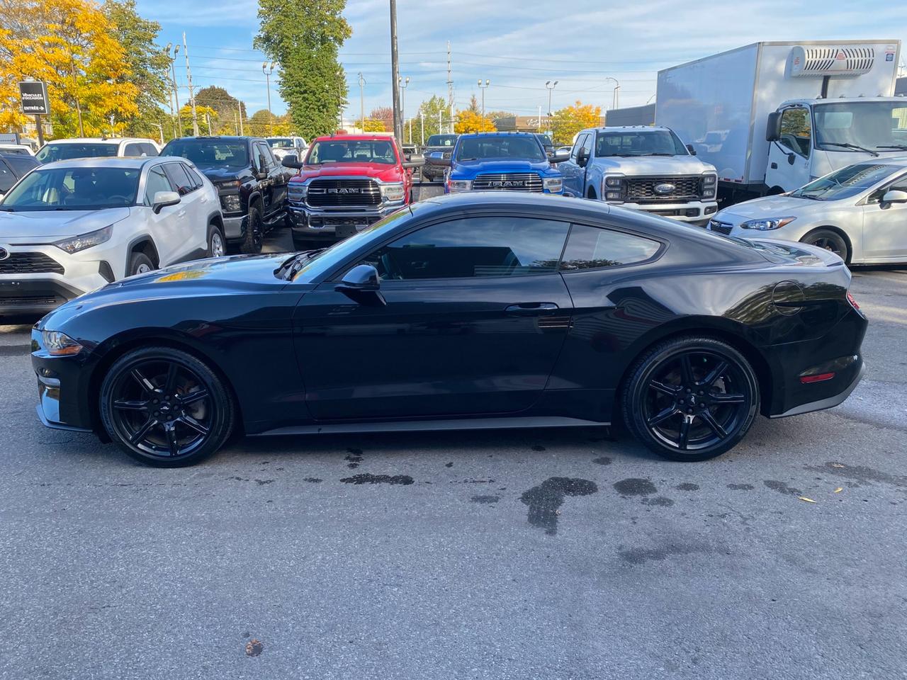 2018 Ford Mustang EcoBoost Coupe | Leather Photo