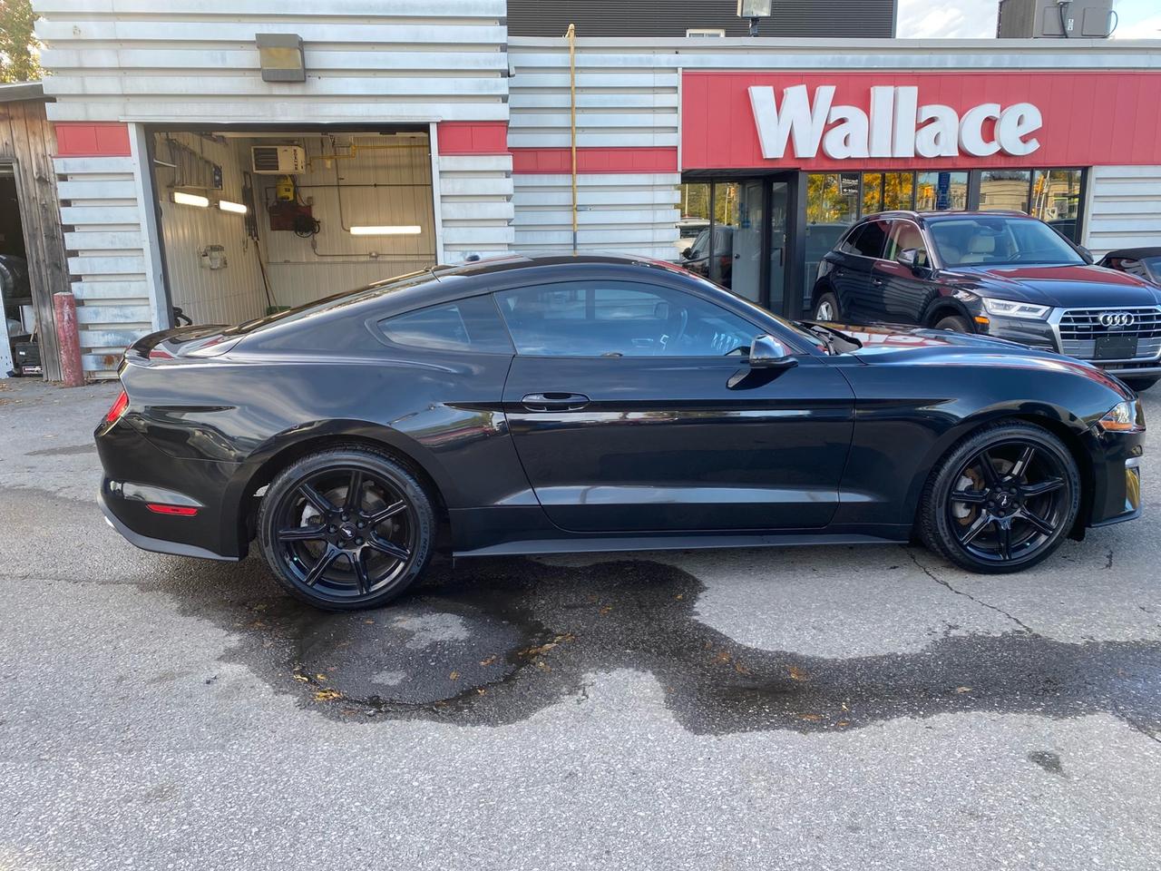 2018 Ford Mustang EcoBoost Coupe | Leather Photo