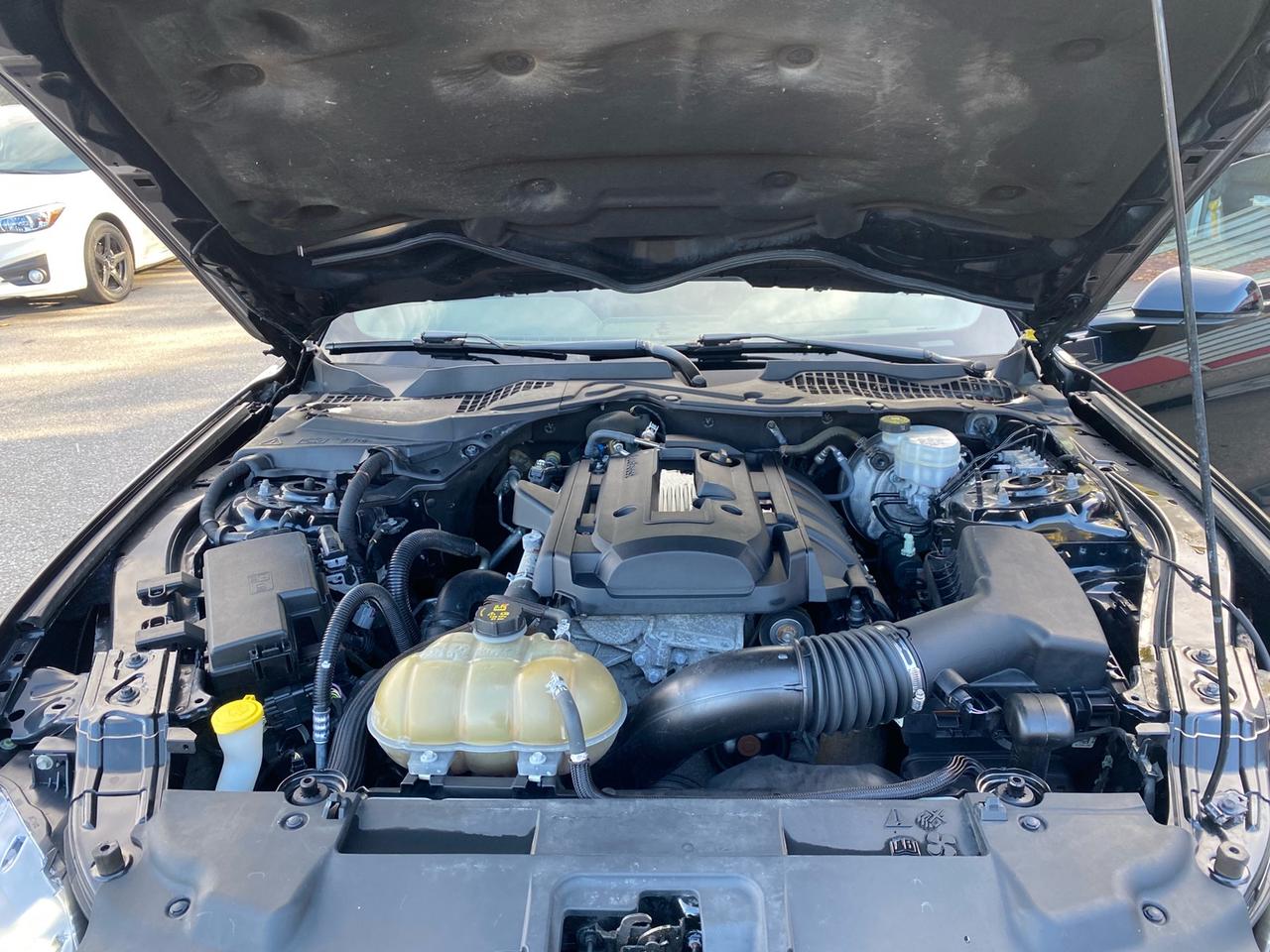 2018 Ford Mustang EcoBoost Coupe | Leather Photo