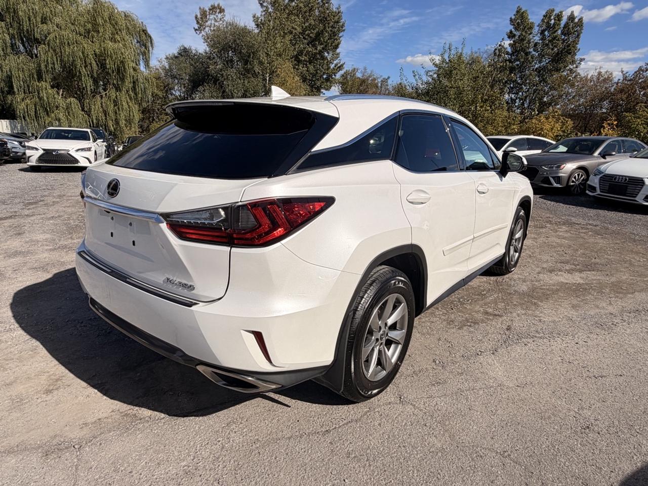 2019 Lexus RX 350 Photo