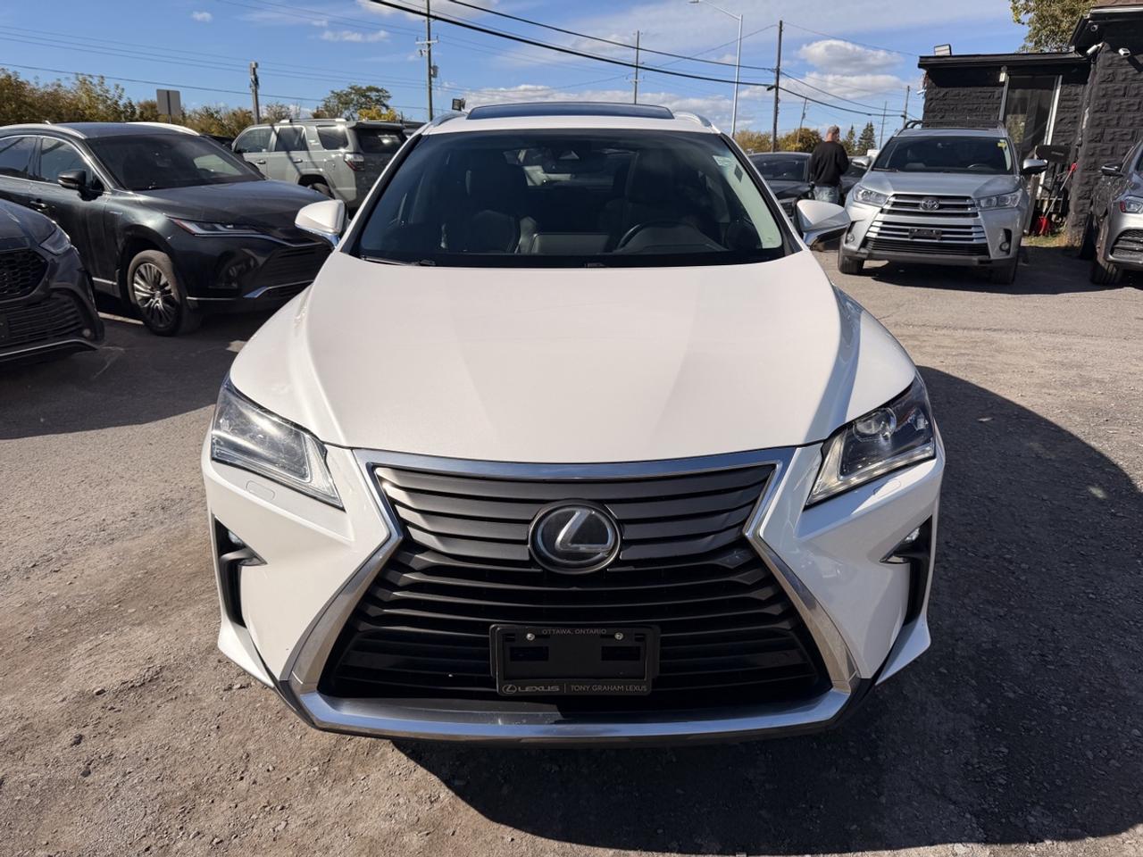 2019 Lexus RX 350 Photo