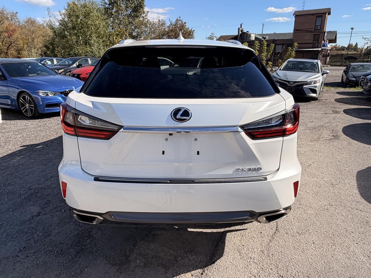 2019 Lexus RX 350 Photo
