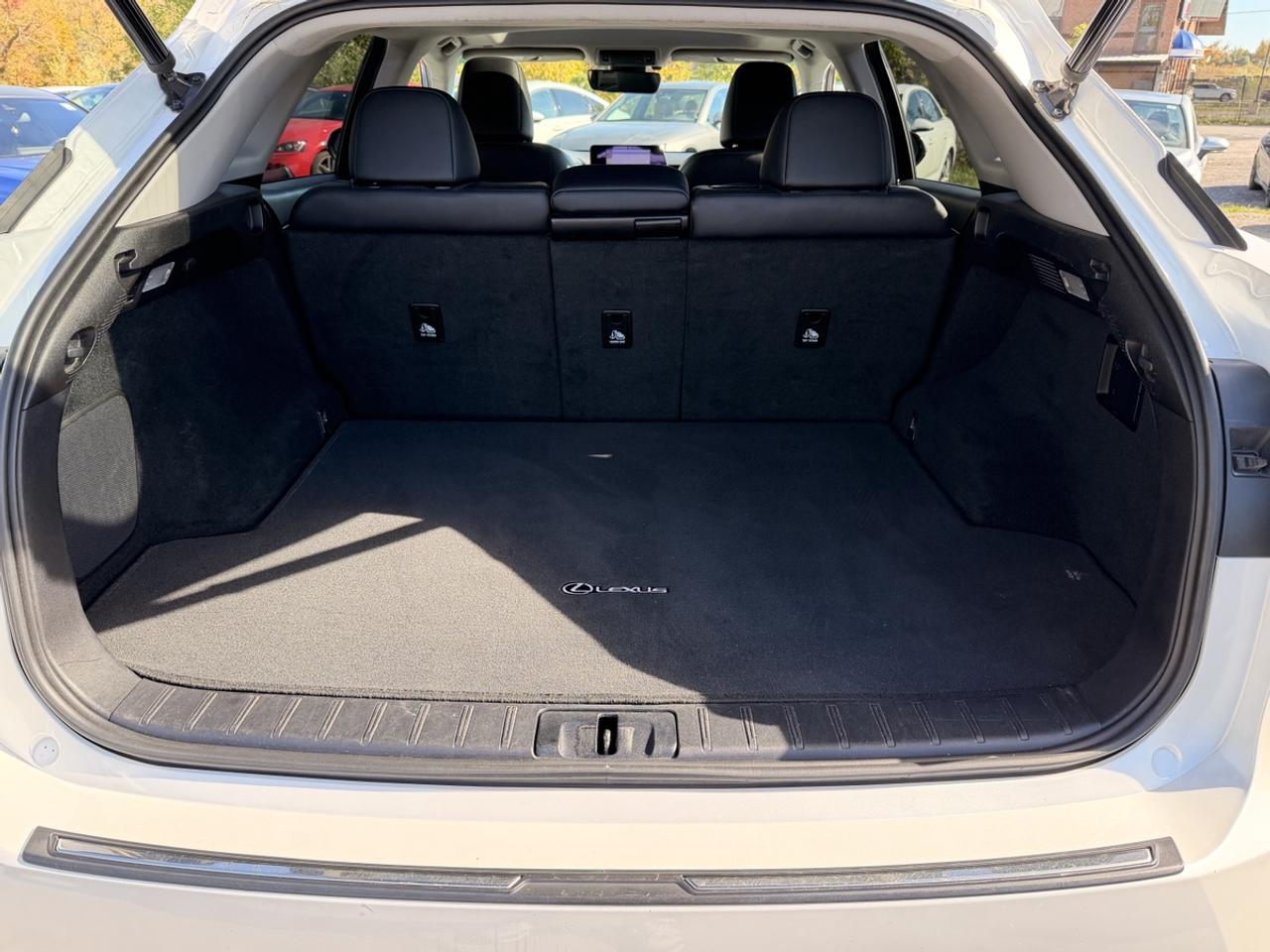 2019 Lexus RX 350 Photo