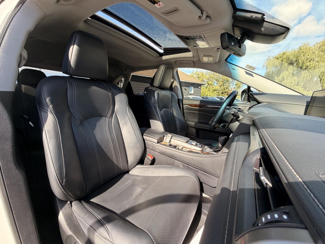 2019 Lexus RX 350 Photo