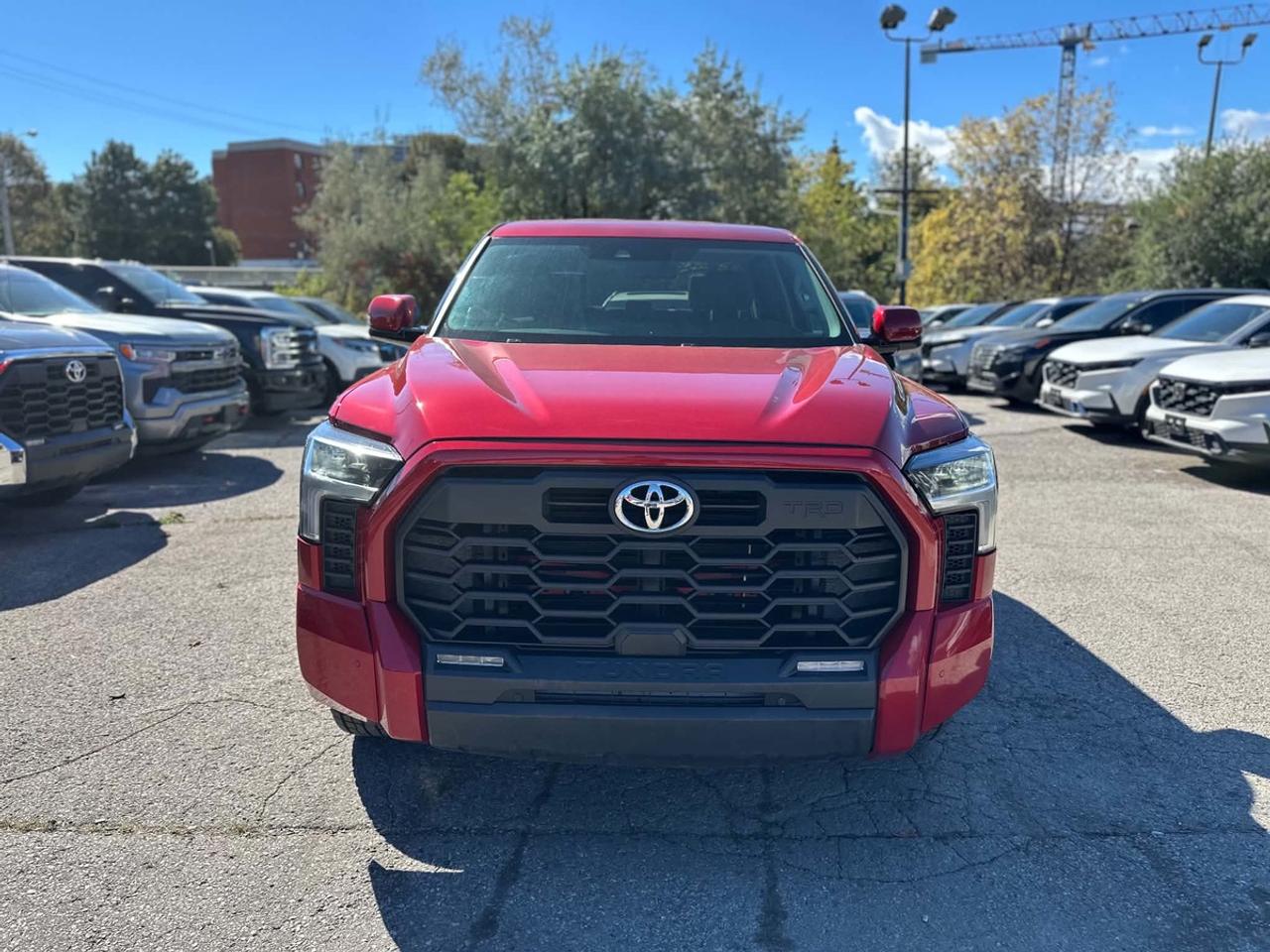 2023 Toyota Tundra TRD SPORT SR5 Photo