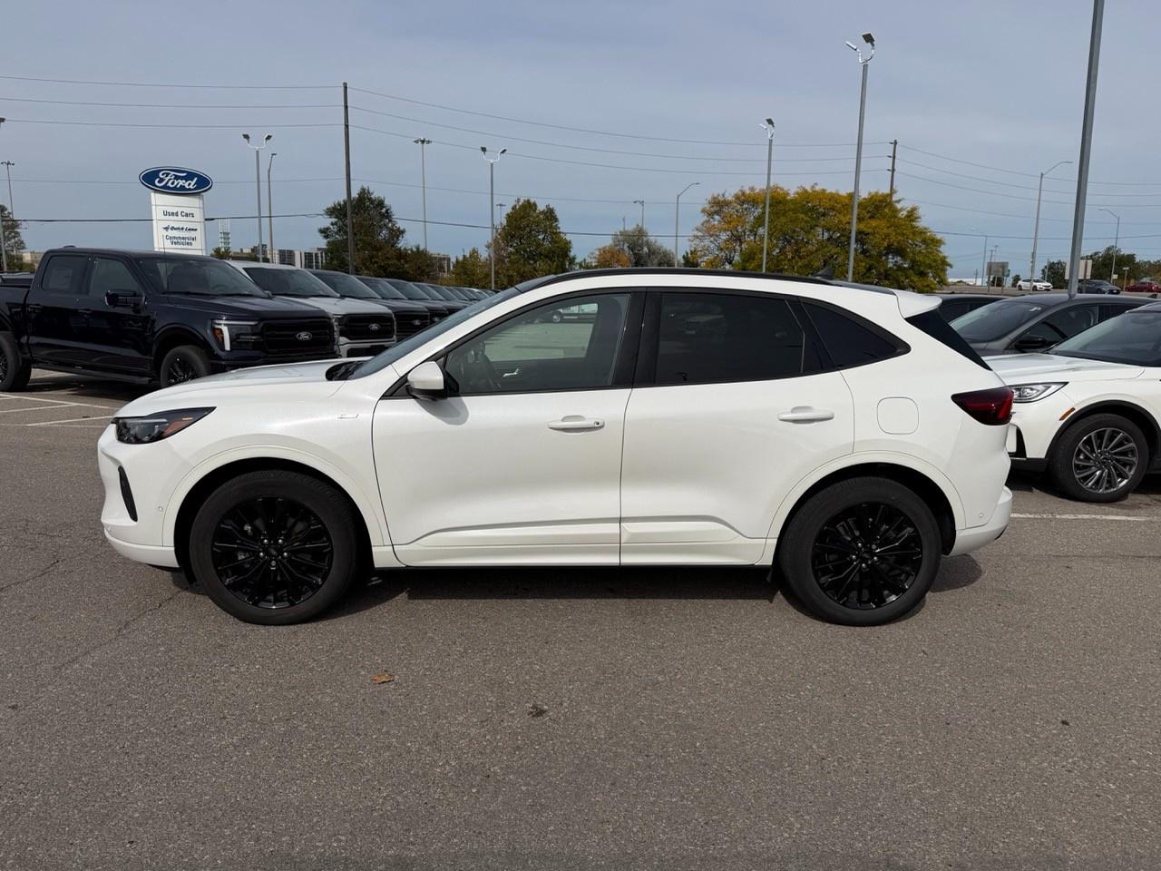 2024 Ford Escape ST-Line Elite 501A|*CPO*|PREM TECHPK|TOW|NAV|NO ACCIDENT|1 OWNER Photo3