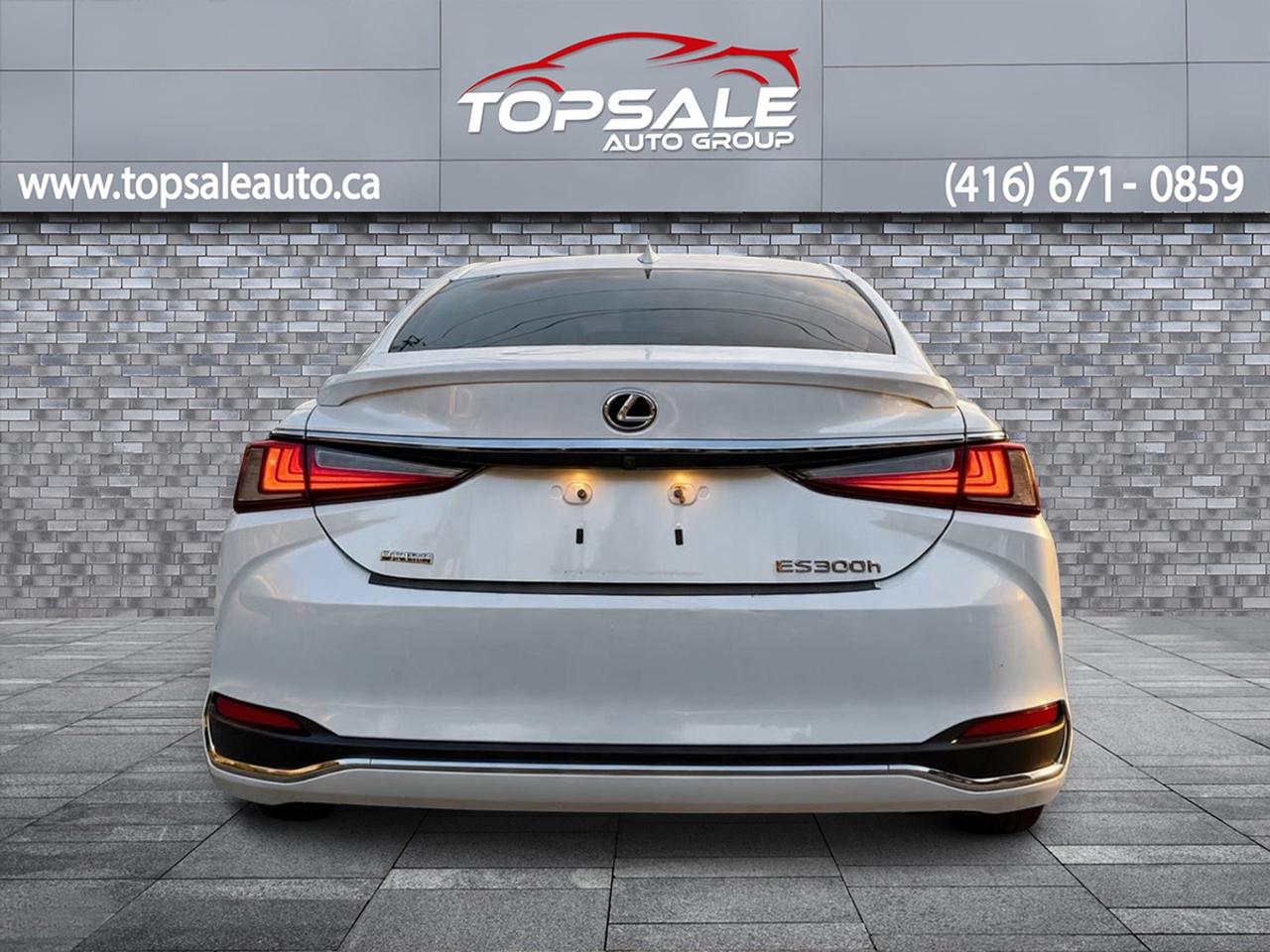 2019 Lexus ES 300h Photo
