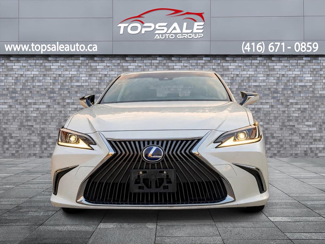 2019 Lexus ES 300h Photo